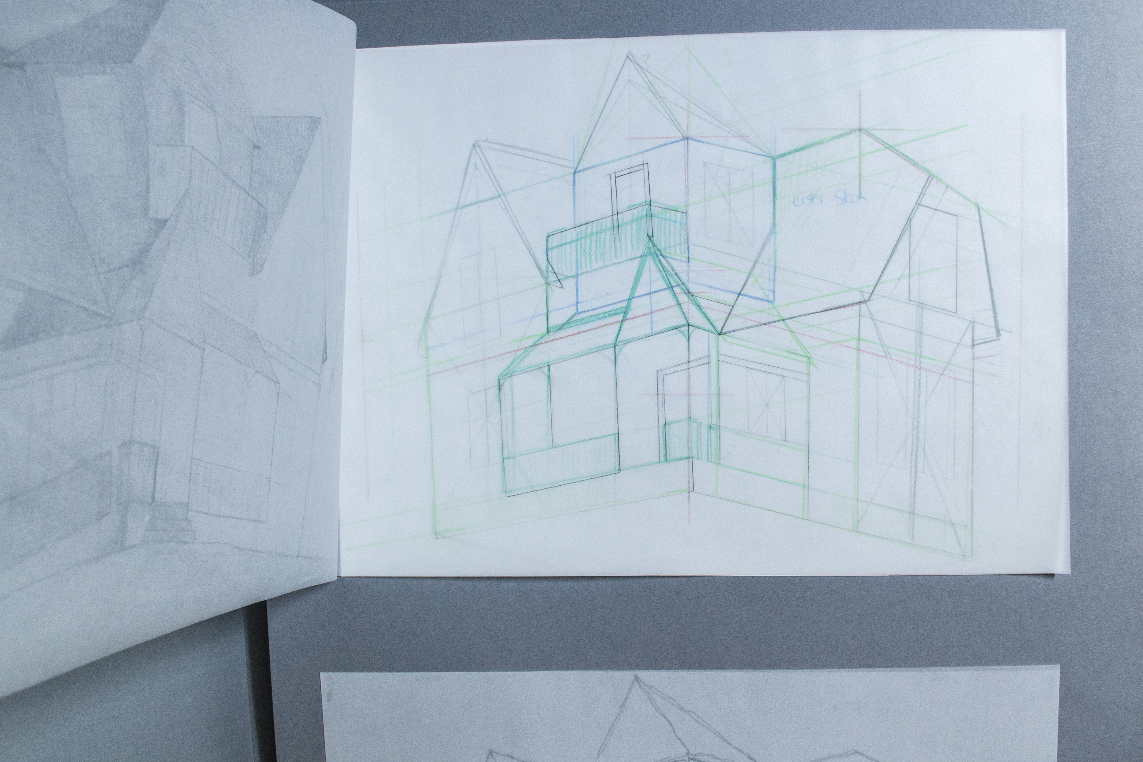 House of my childhood dreams 02
