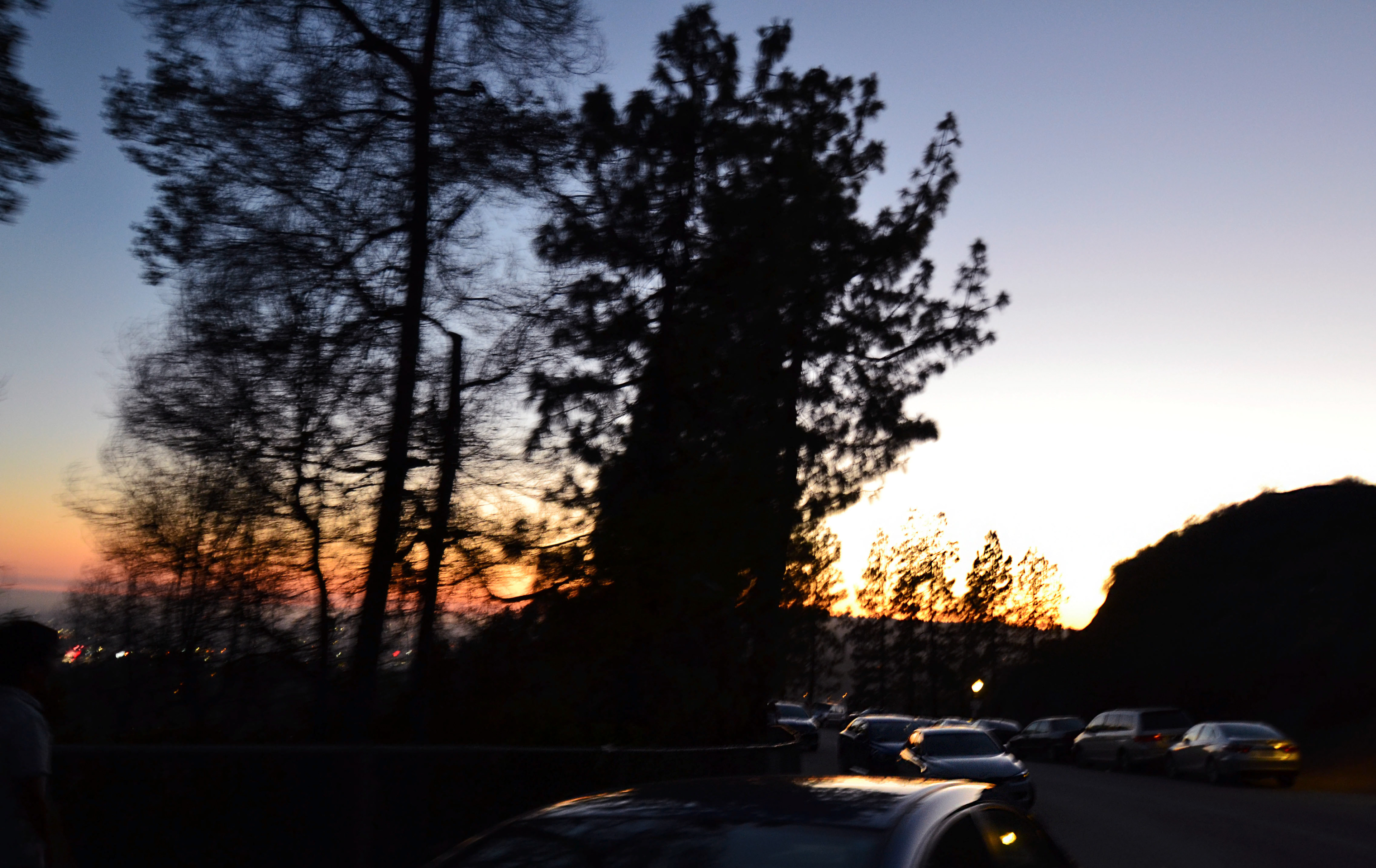 california dreamin' 01