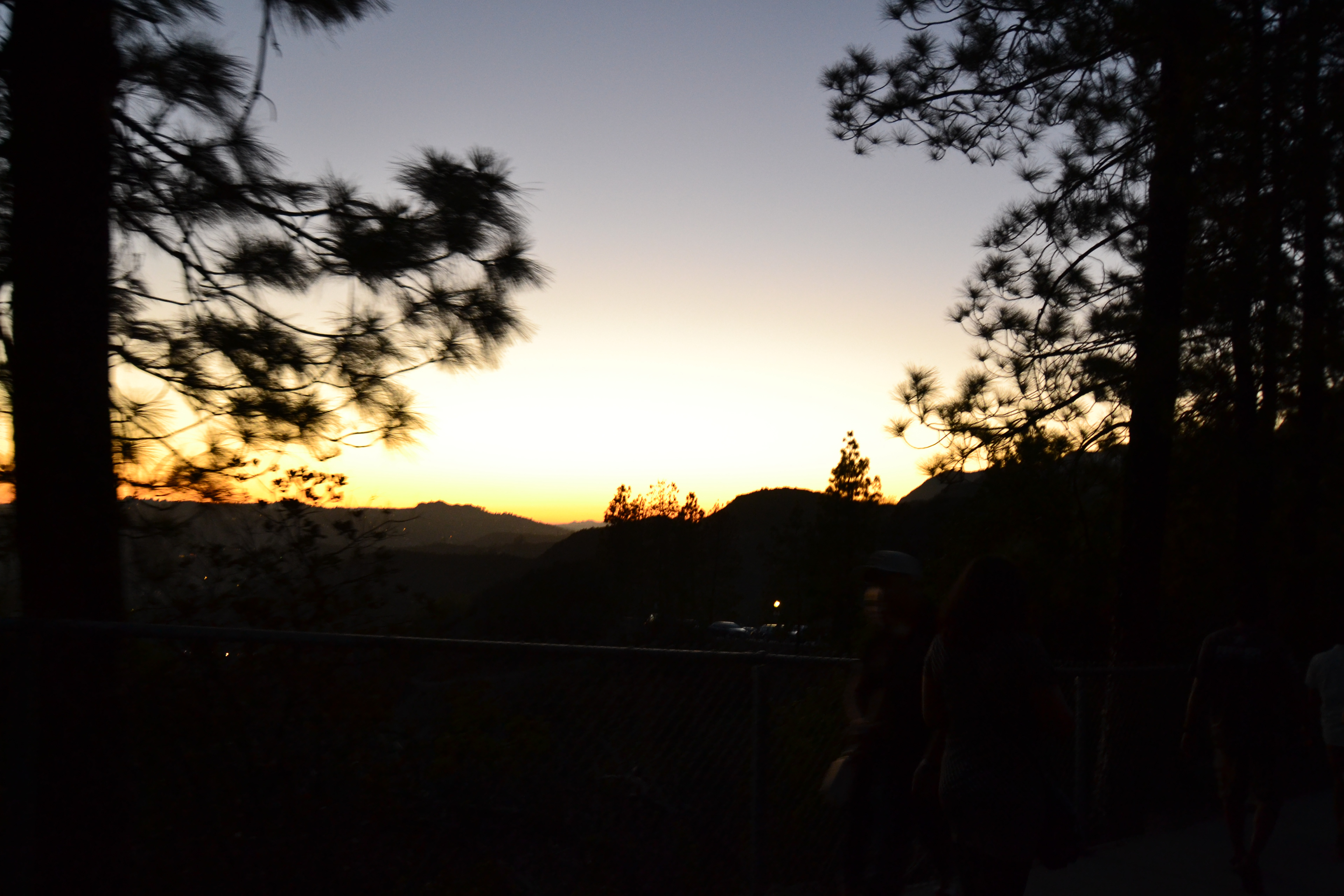 california dreamin' 02