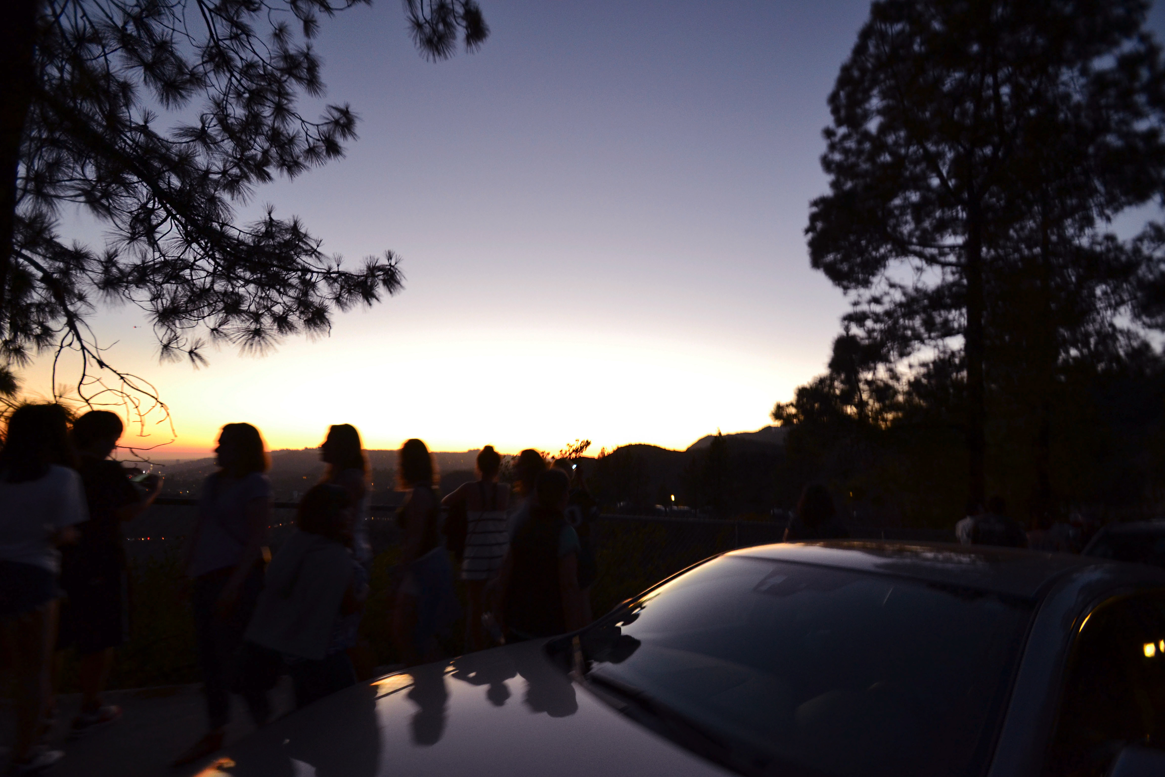 california dreamin' 03