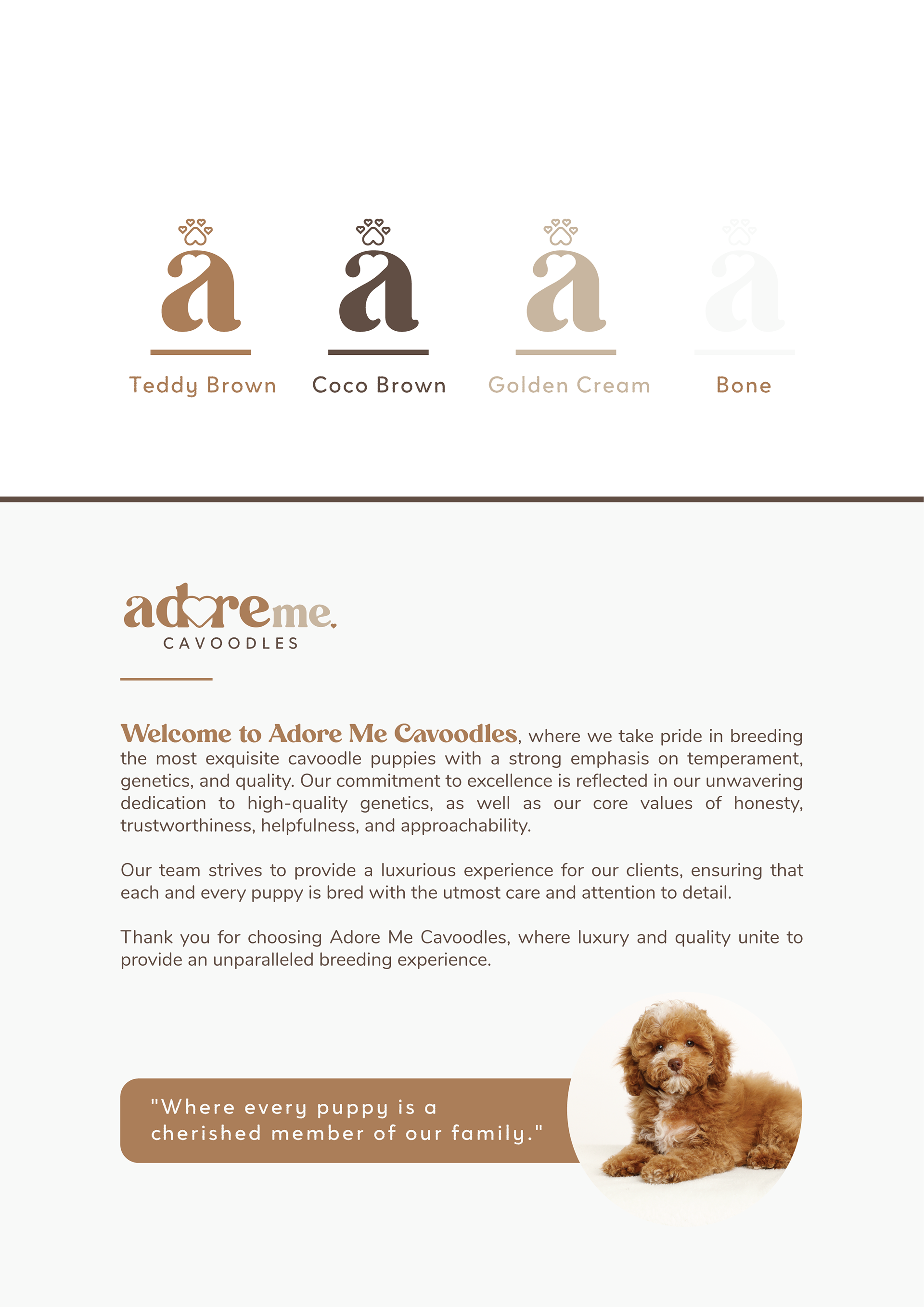Perth Branding Designer