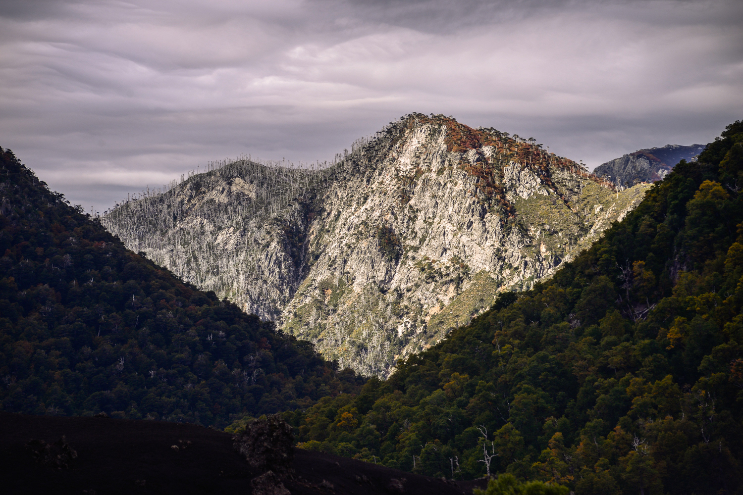 Conguillio, Chile.