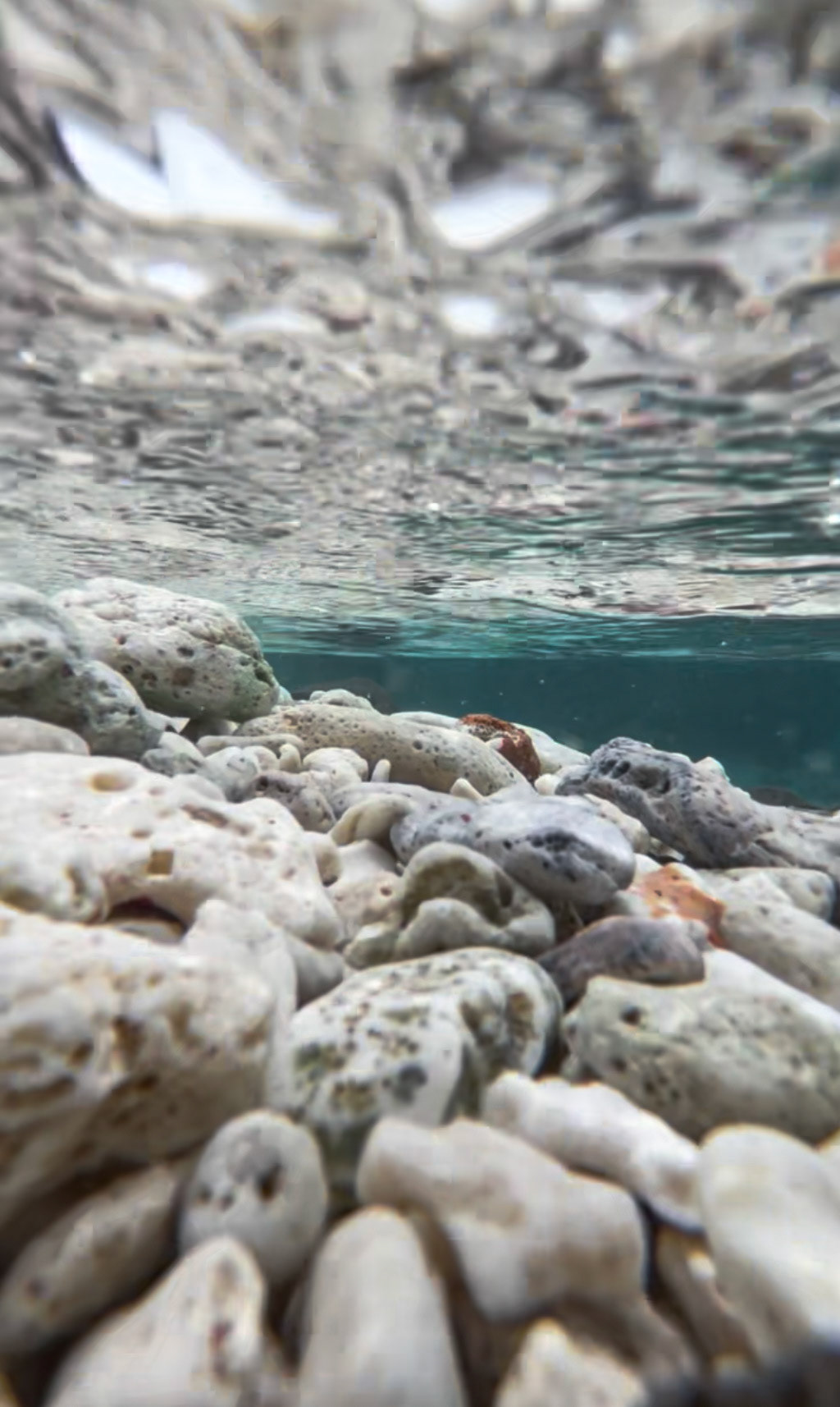 Clear waters in the island