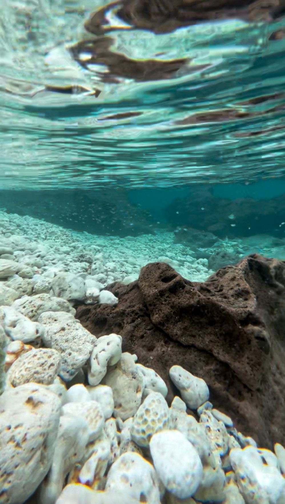 Clear waters in the island