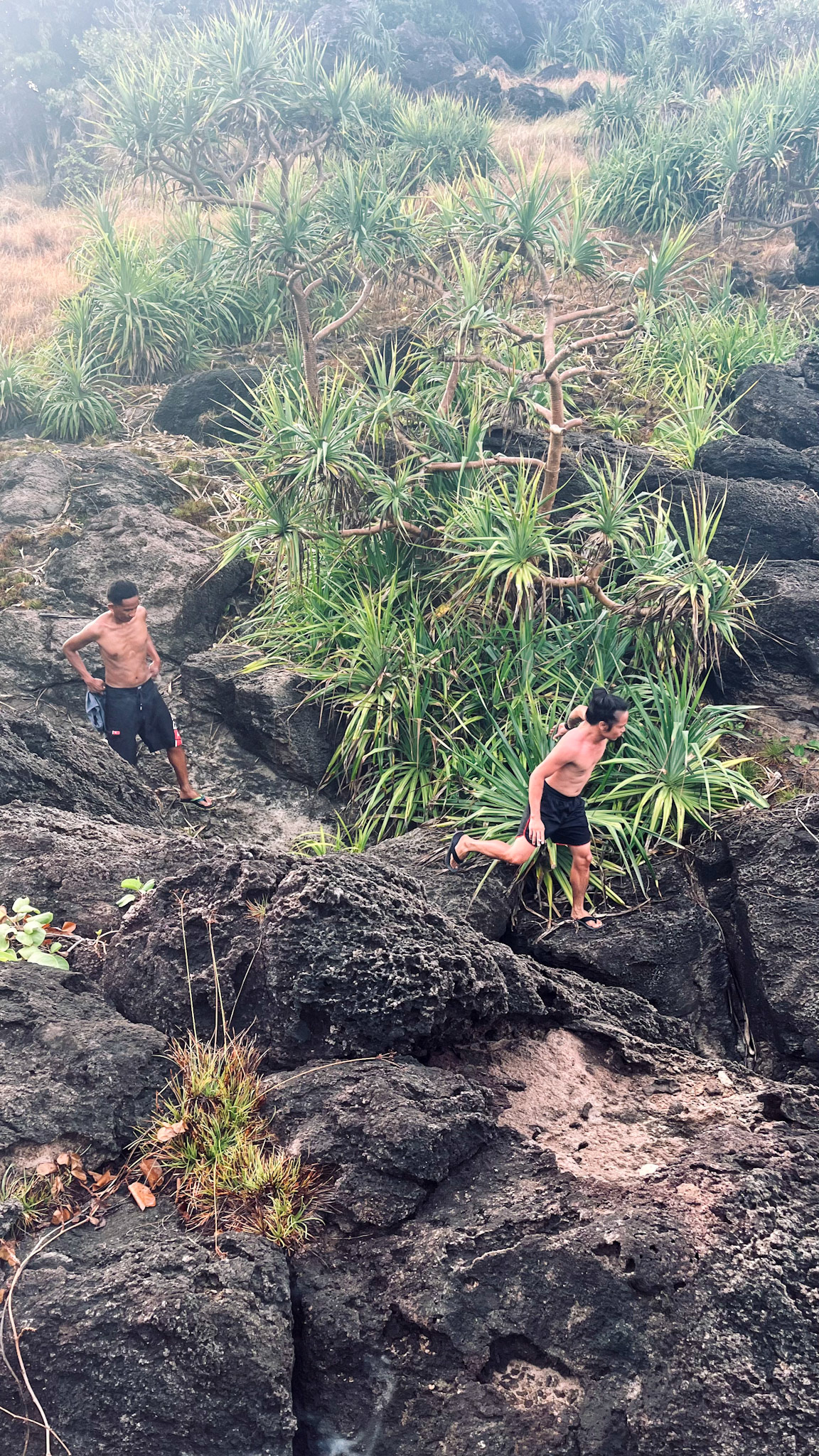 Exploring the middle section of the island