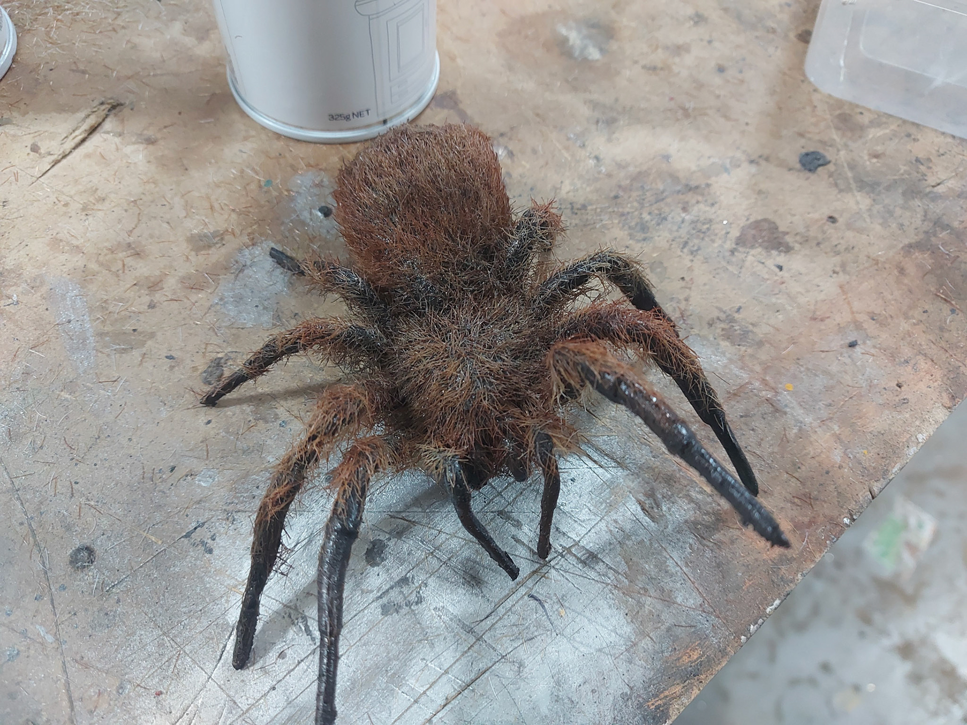polyfoam spider with wire skeleton for posing flocked with hair