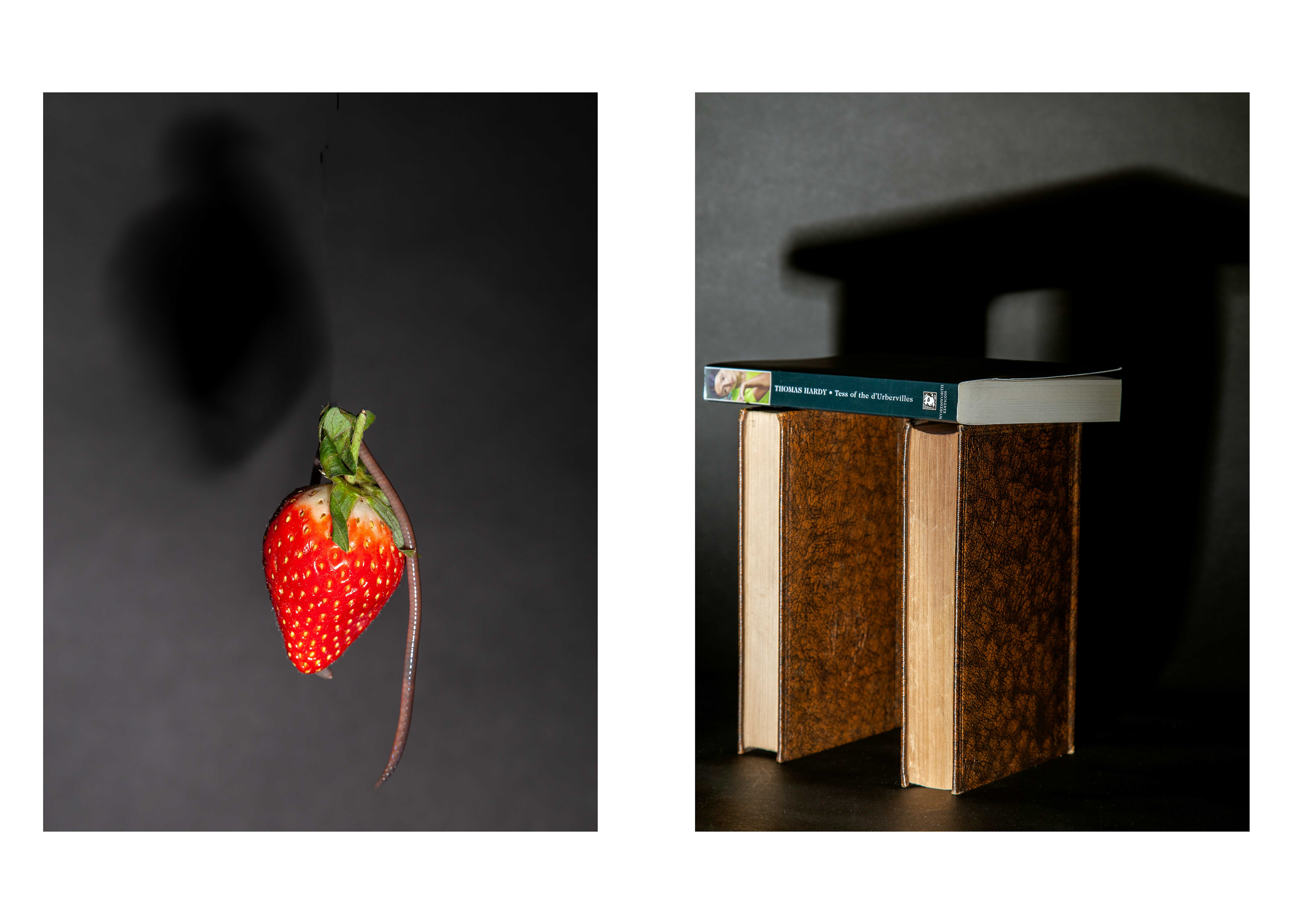 Tess of the D'Urbevilles by Thomas Hardy  1891