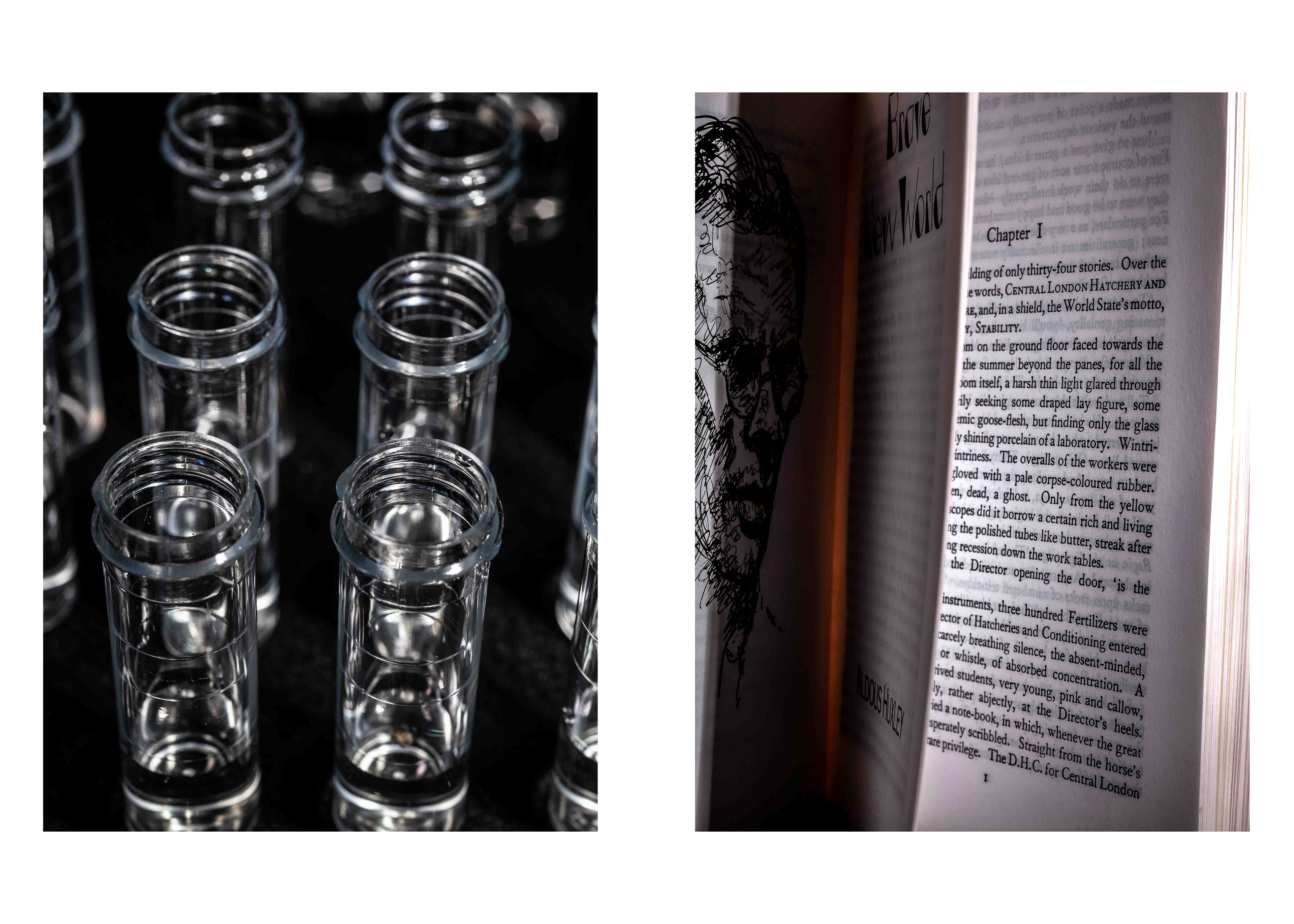 Brave New World by Aldous Huxley  1932