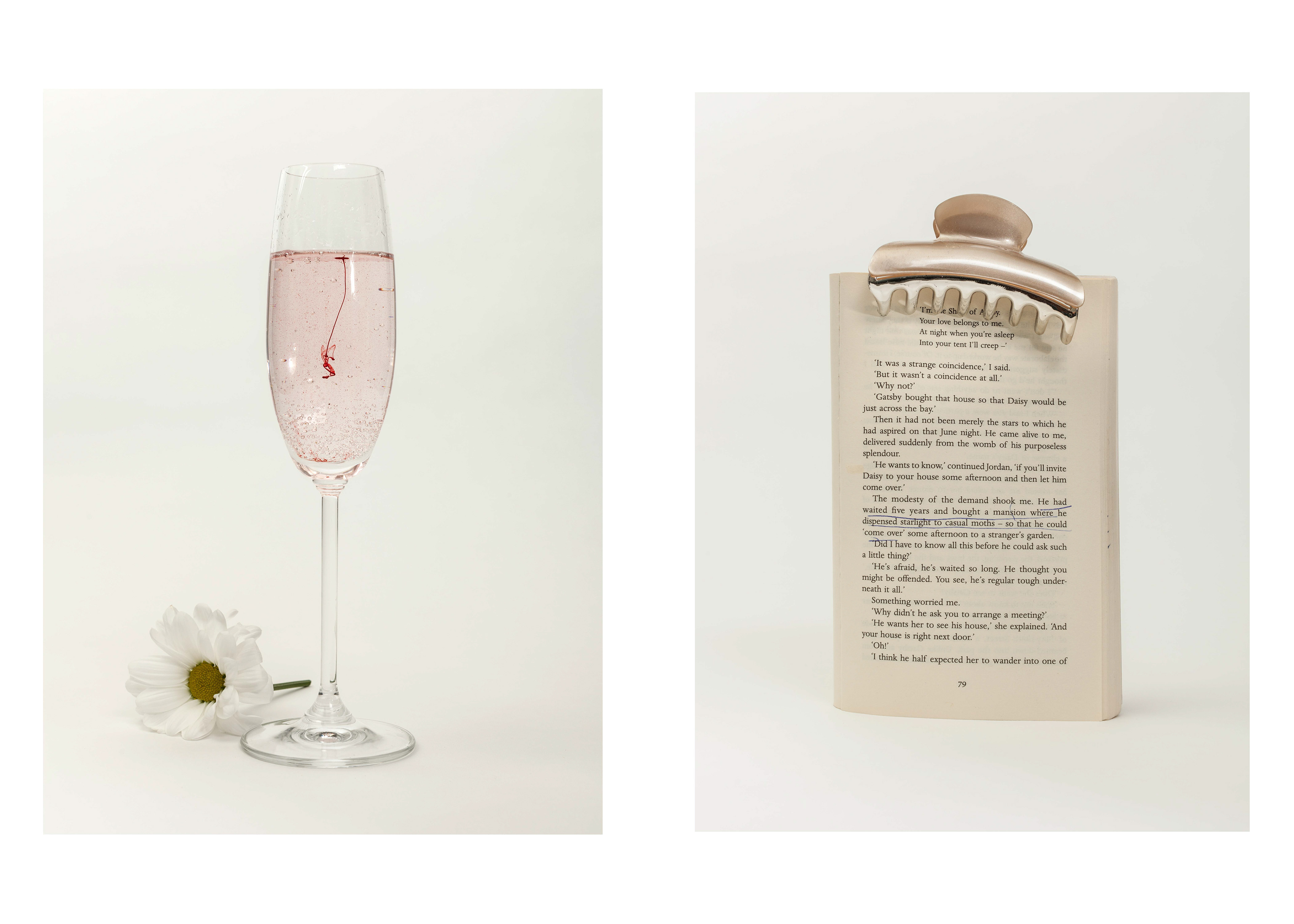 The Great Gatsby by F Scott Fitzgerald 1925