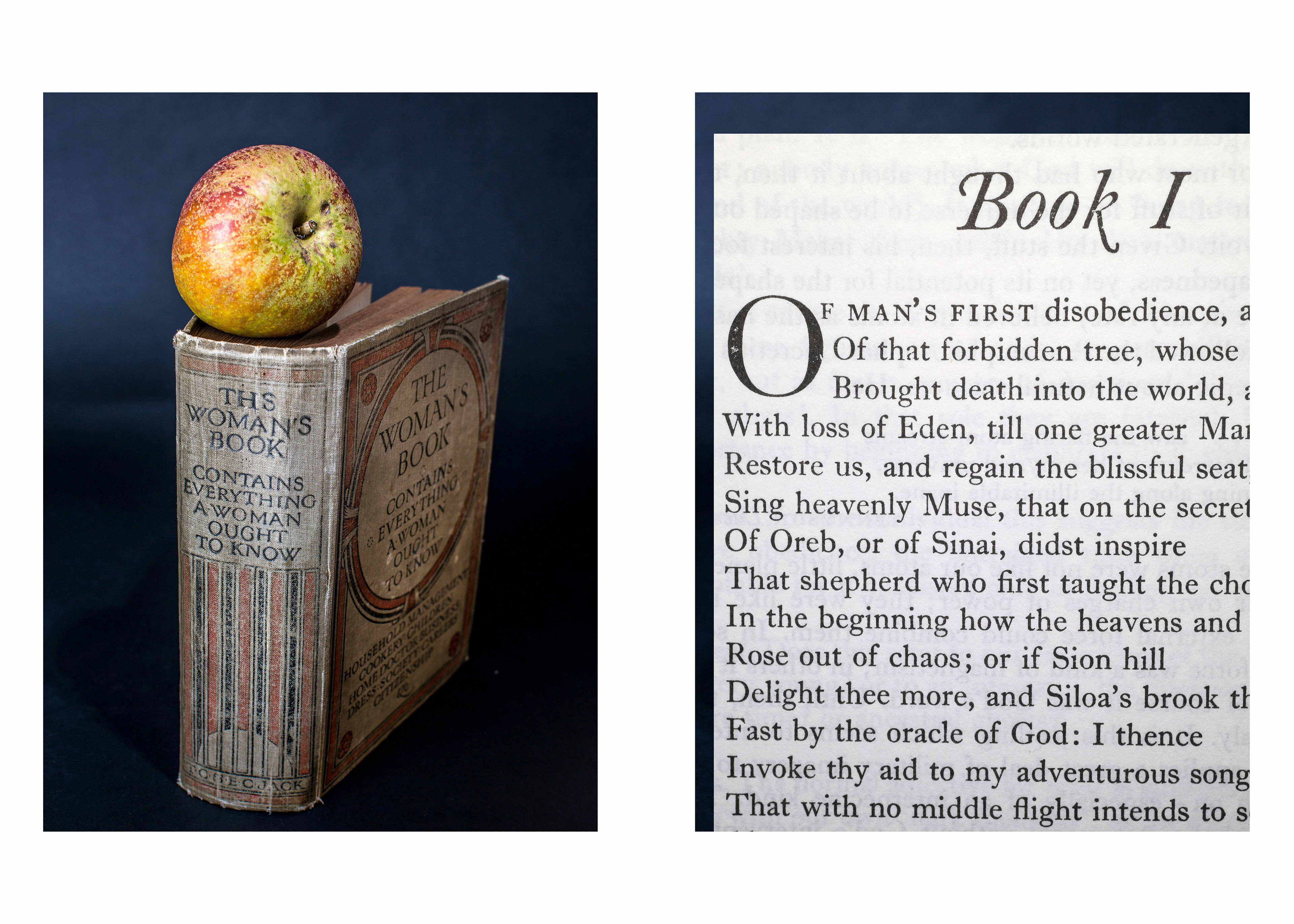 Paradise Lost by John Milton 1667