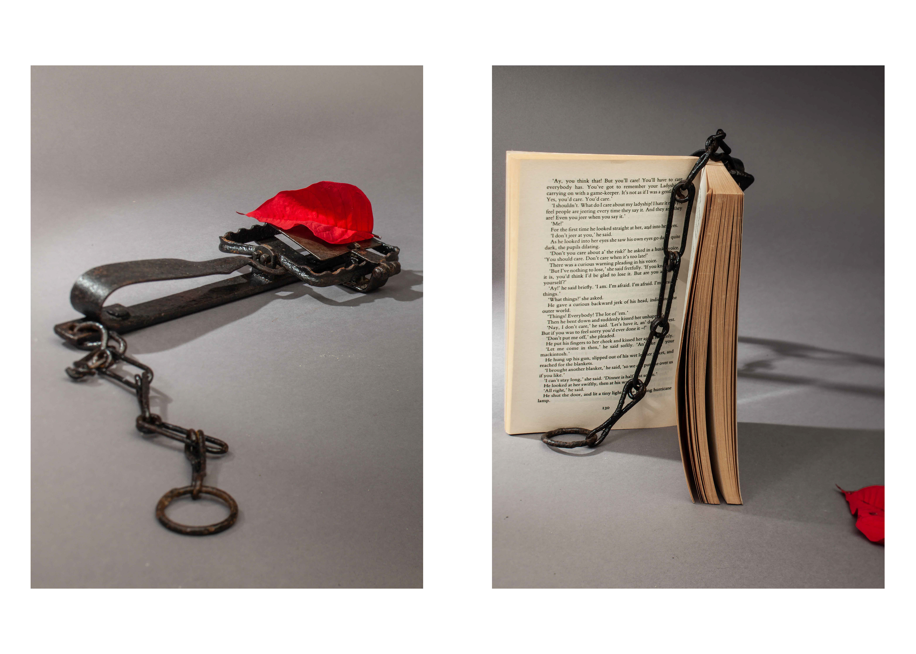 Lady Chatterley's Lover by D H Lawrence 1928