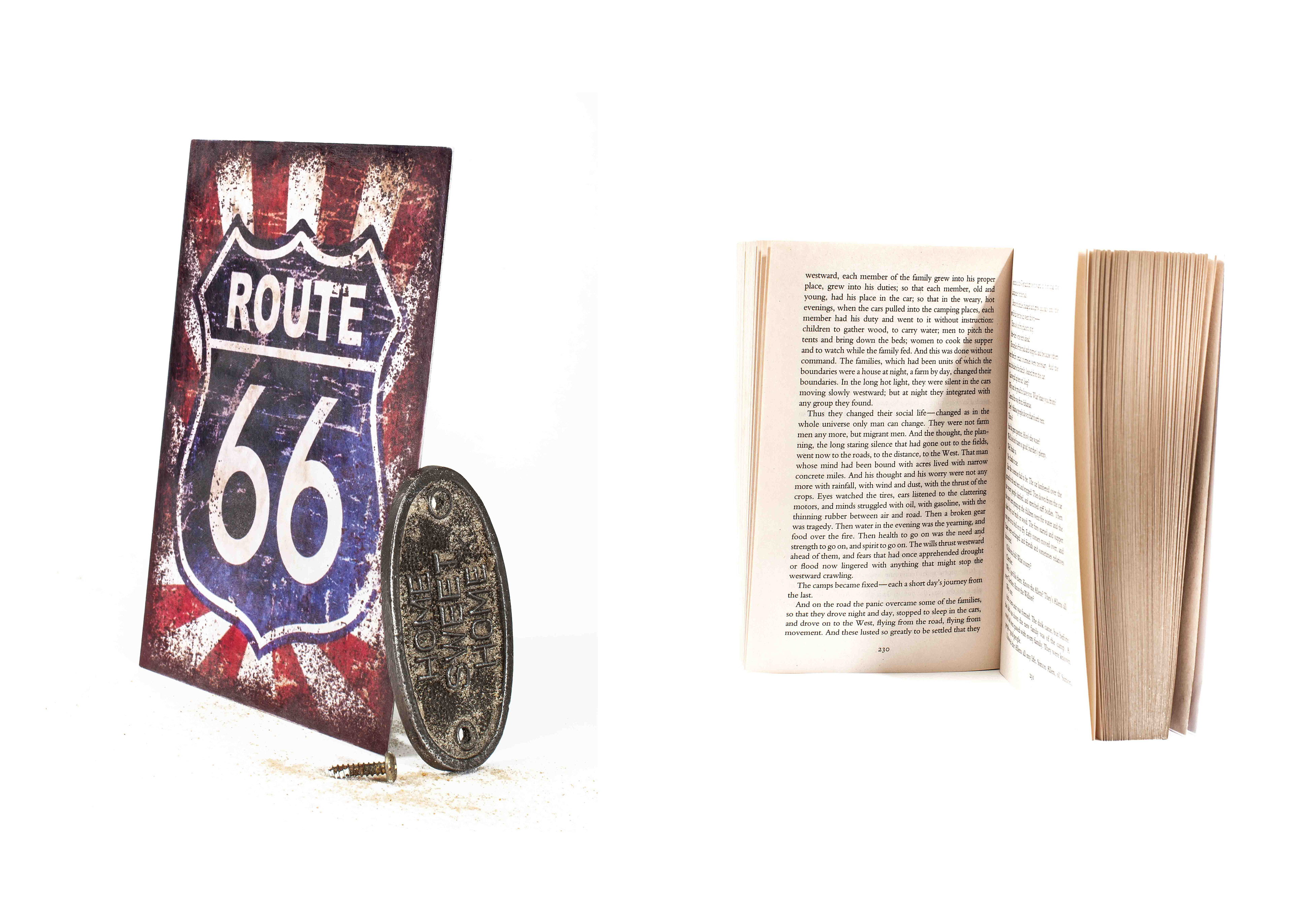 The Grapes of Wrath by John Steinbeck 1939