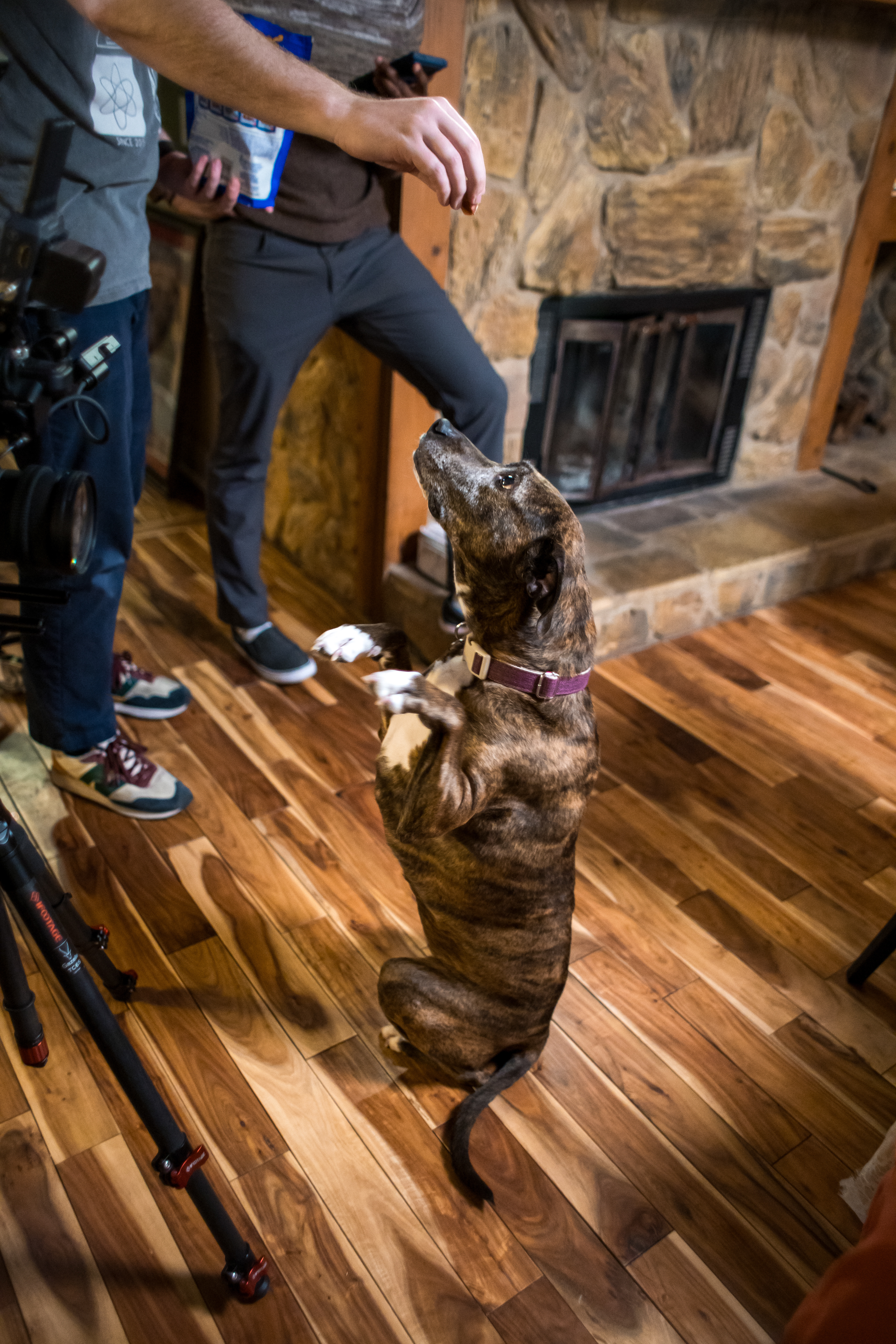 NYLA HAS TROUBLE SLEEPING (SHORT FILM)