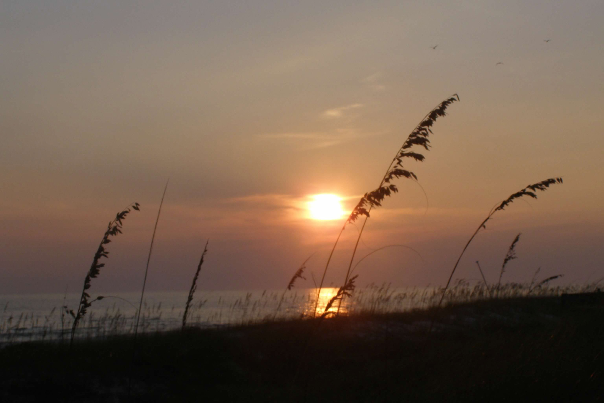 Cape Canaveral Beach, Fla.