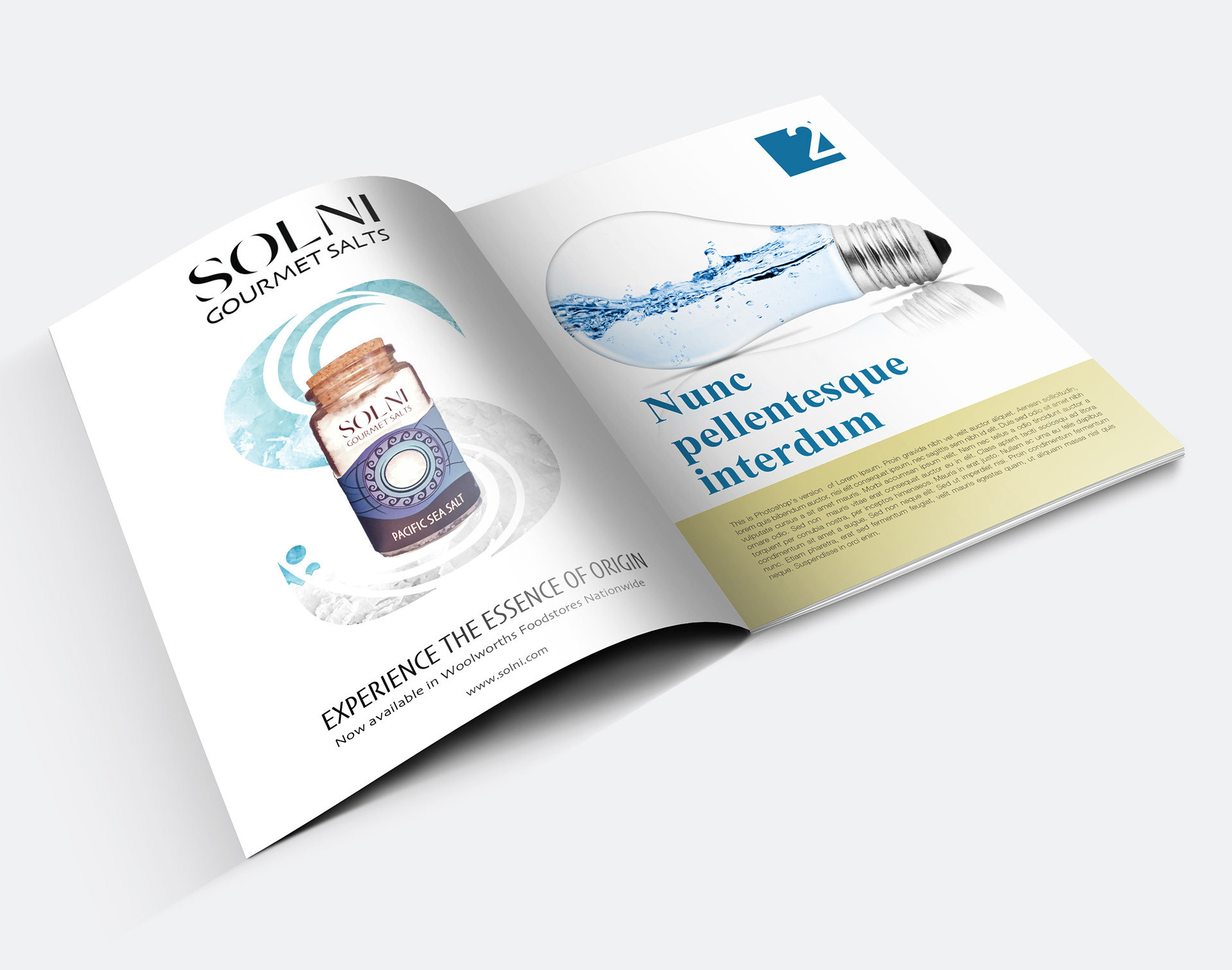 Advertisement Mockup (Solni Gourmet Salt) - Student Work