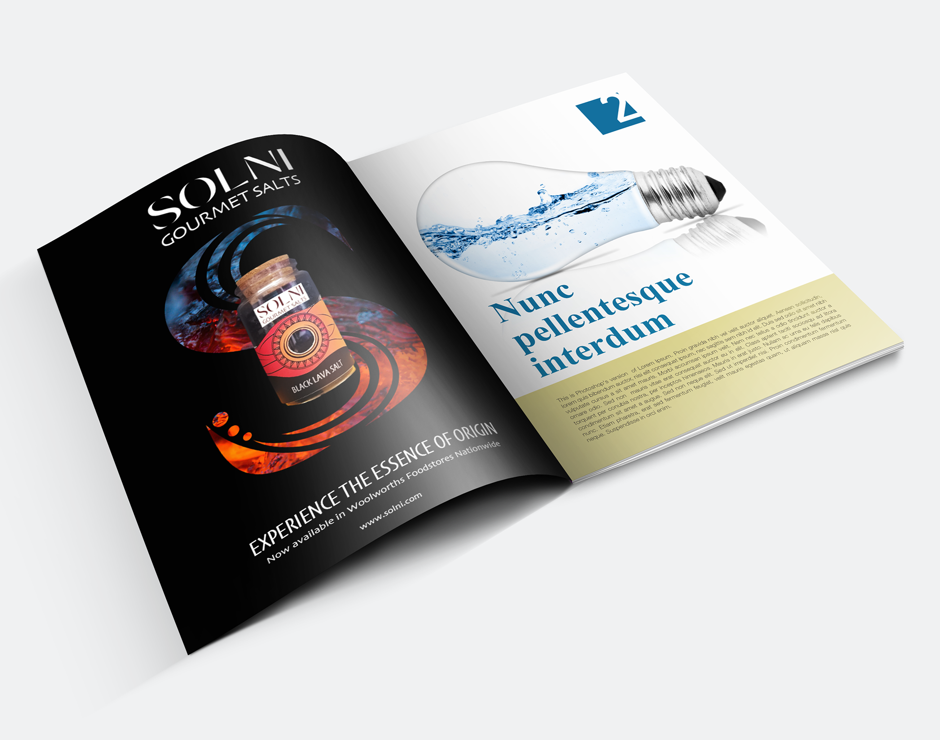 Advertisement Mockup (Solni Gourmet - Black Lava Salt) - Student Work