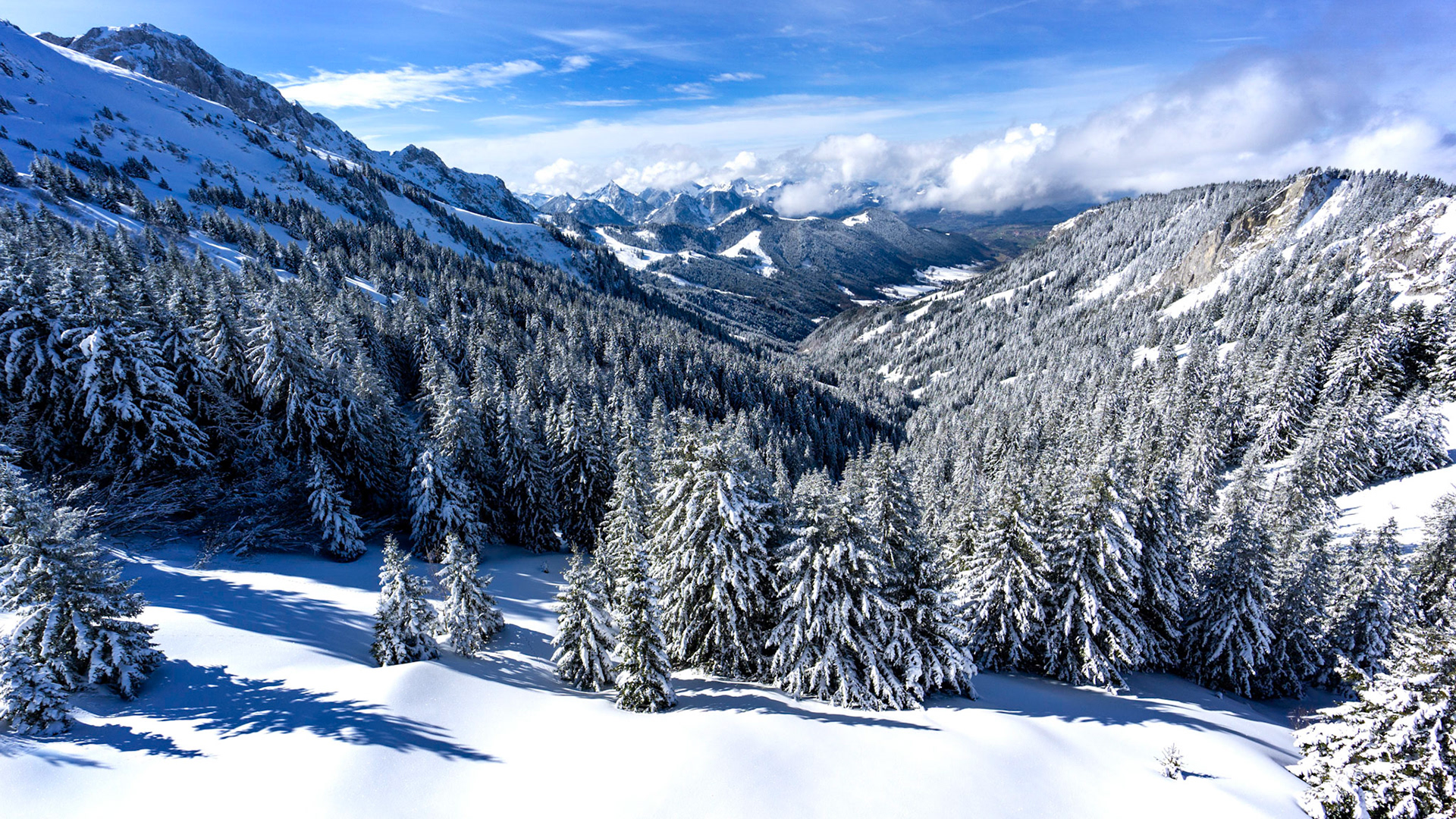 L'Hiver