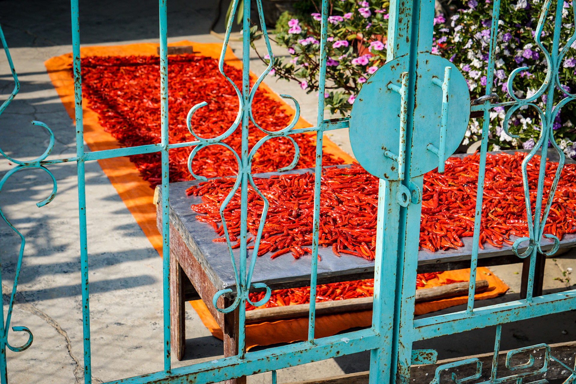 Red Hot Chili Peppers