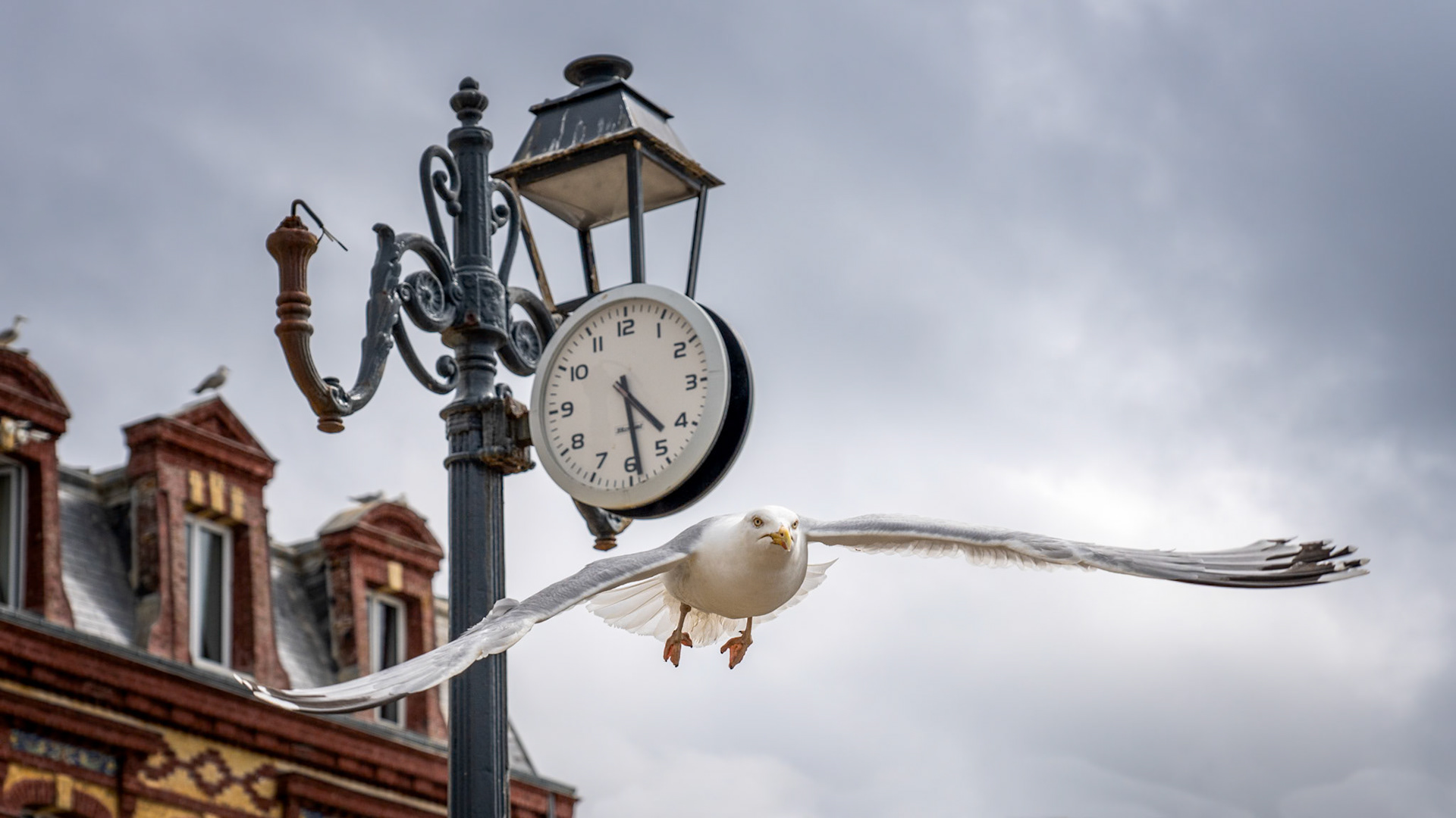 La Mouette et l'Horloge