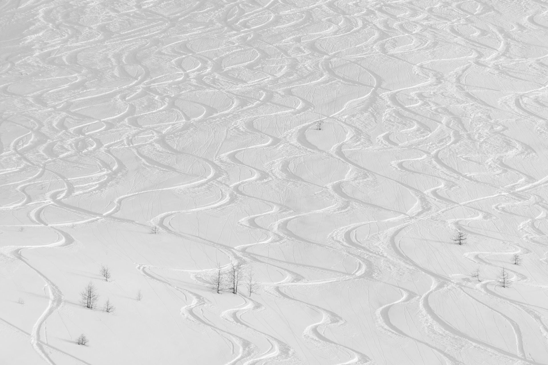 Snowboard