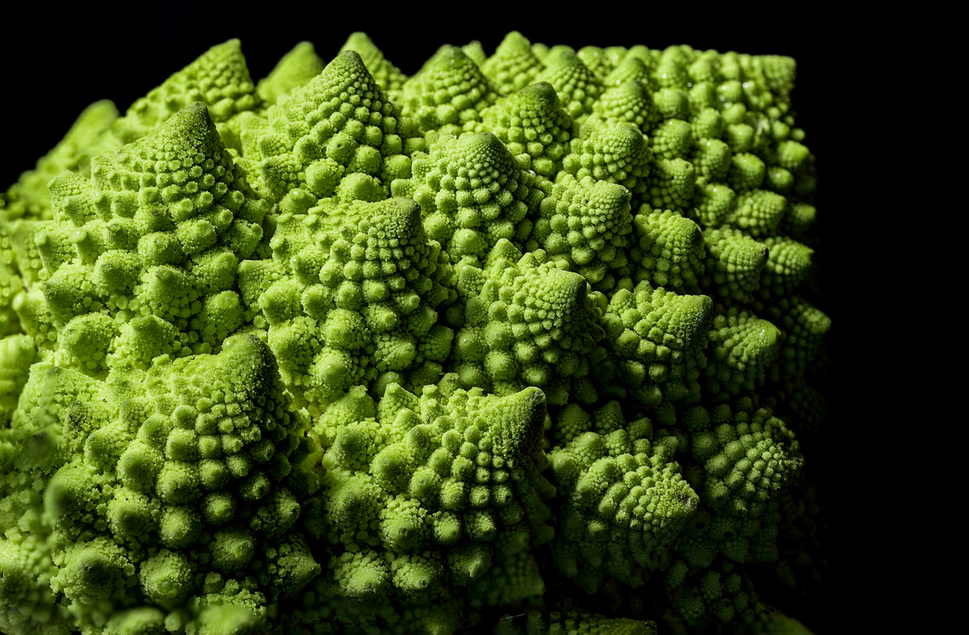 Le Broccoli Romanesco