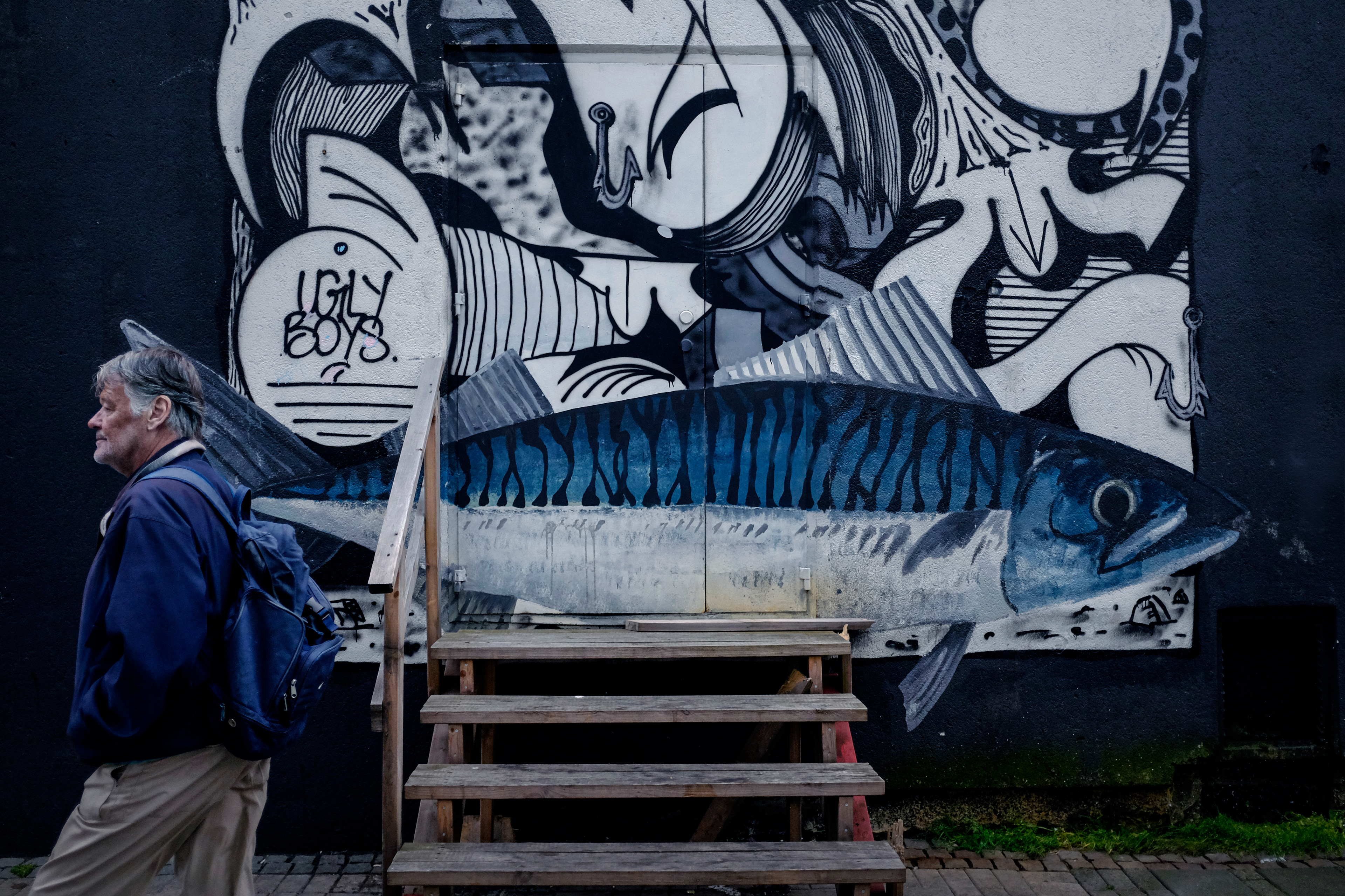 Swimming upstream, Reykjavik