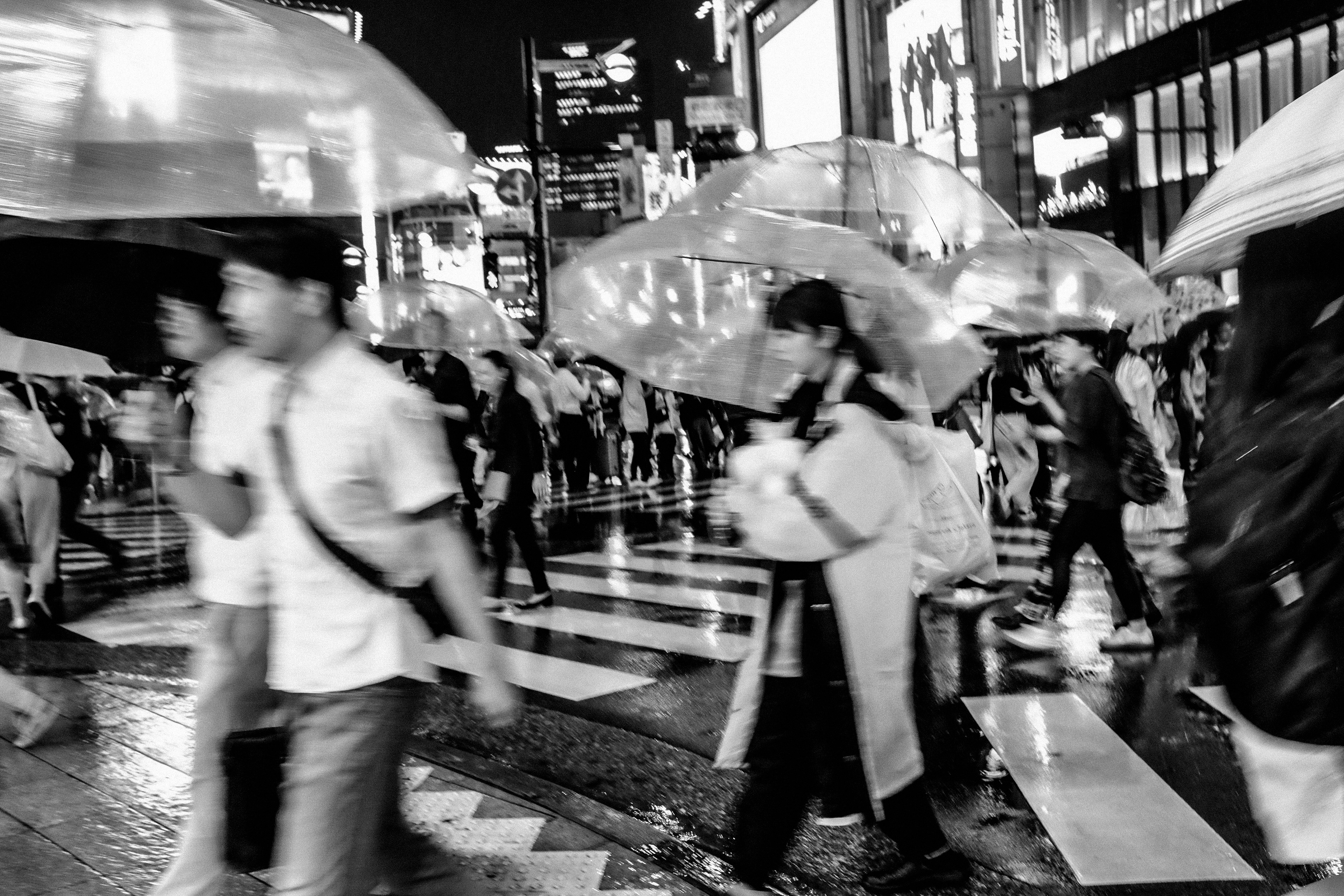 The flurry of Shibuya Crossing, Tokyo