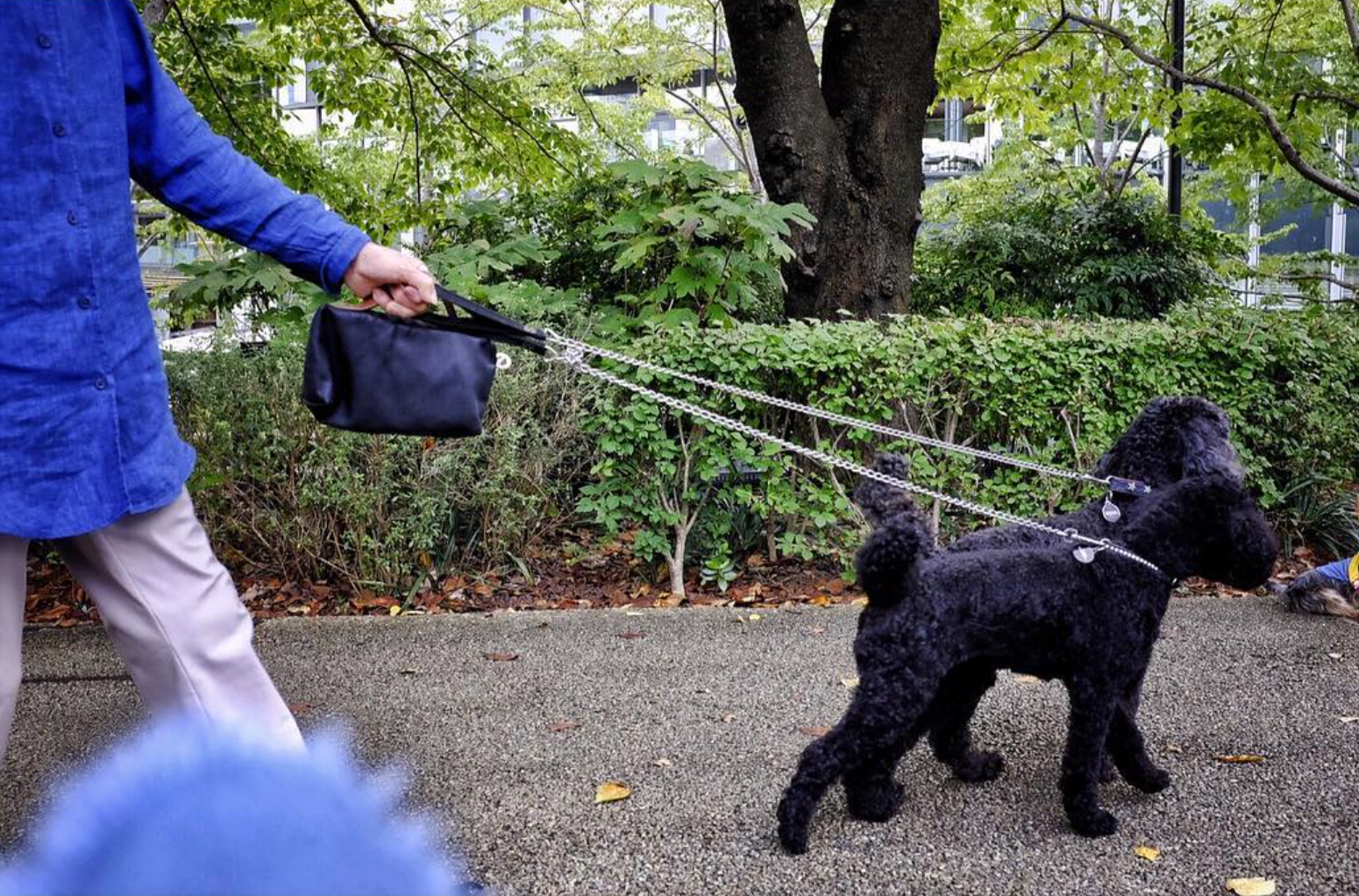 Walkies, Paris