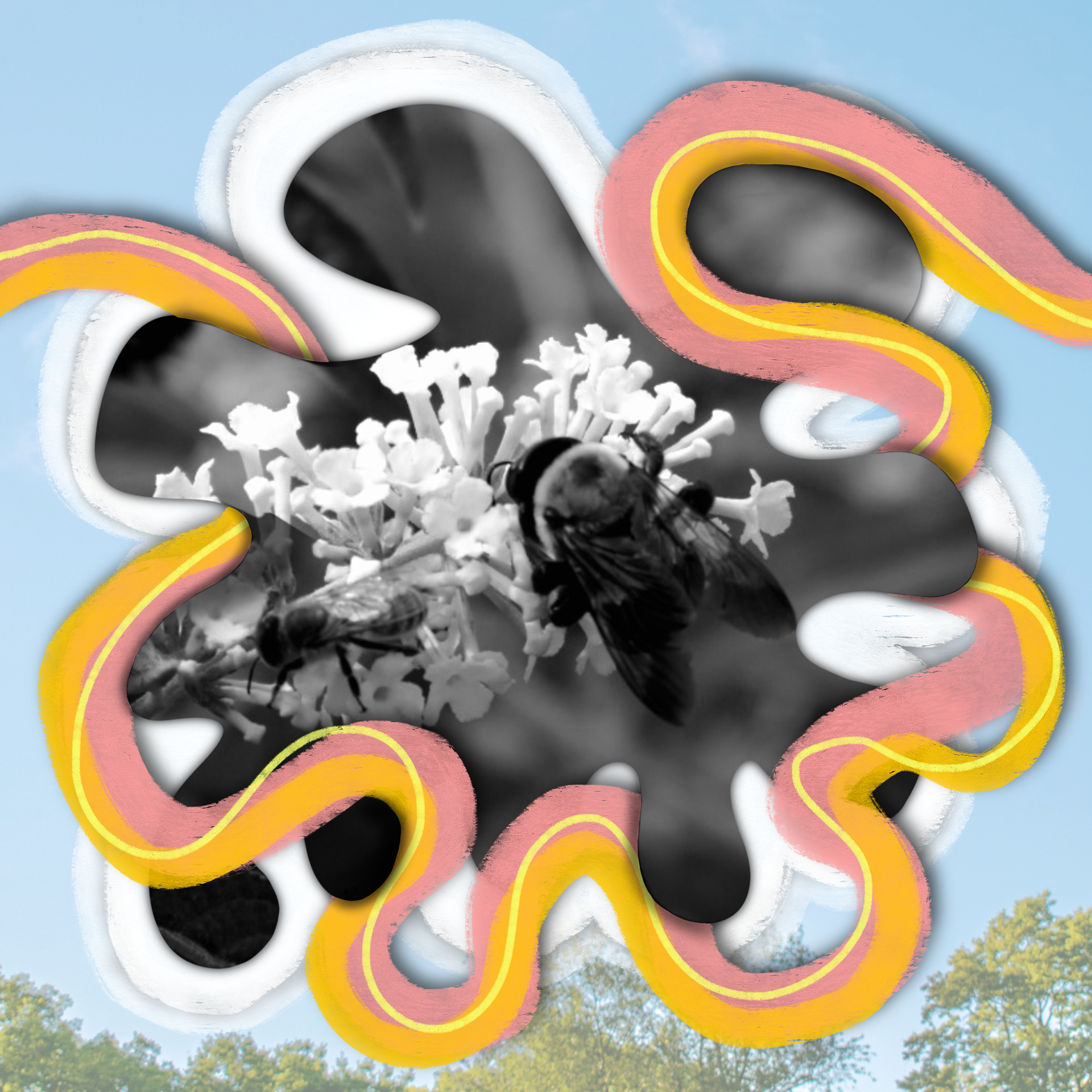 His Peace Follows Us.