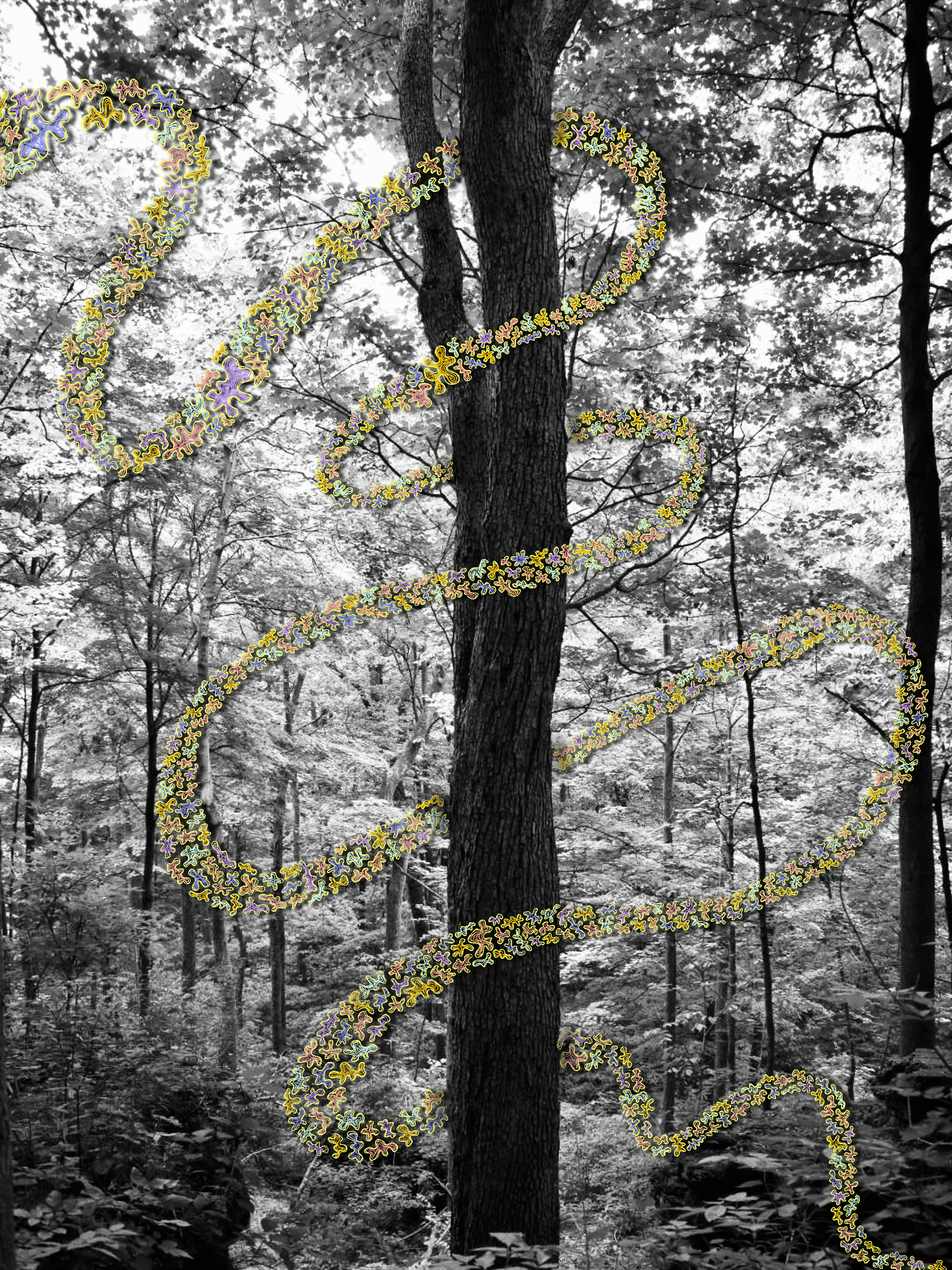 What If I Can't Find My Way?