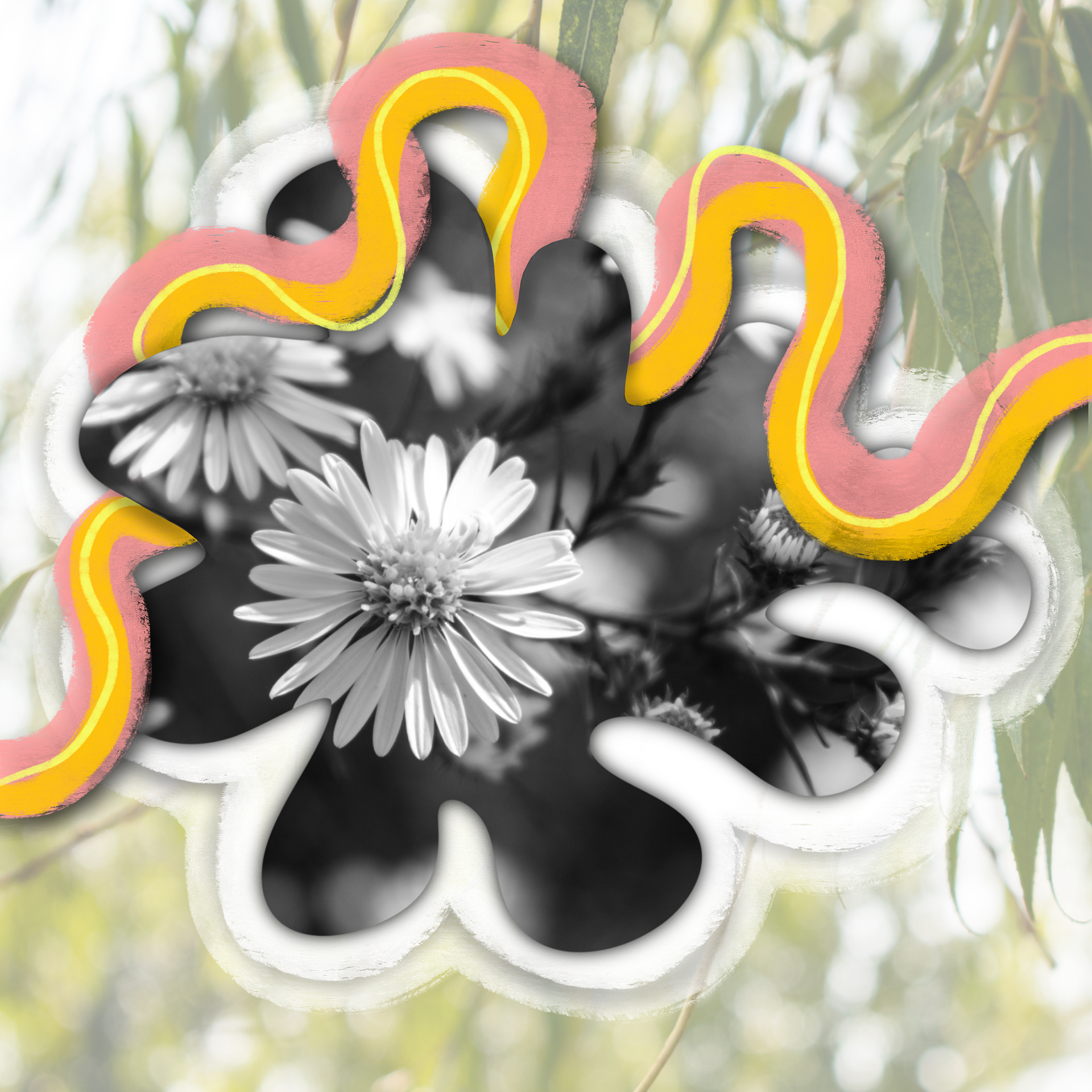 His Peace Follows Us.