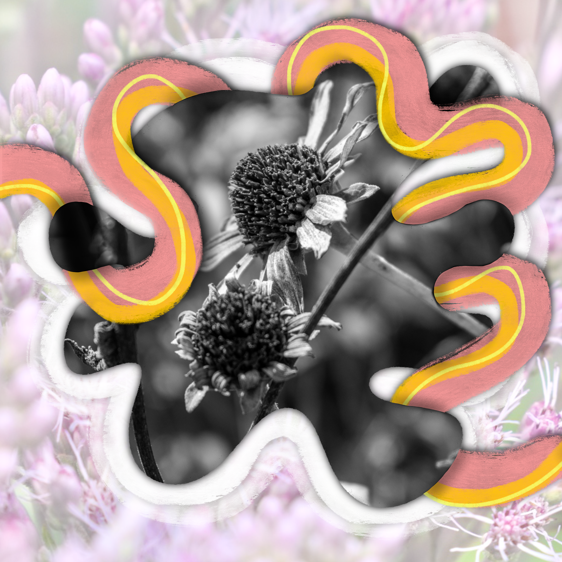 His Peace Follows Us.