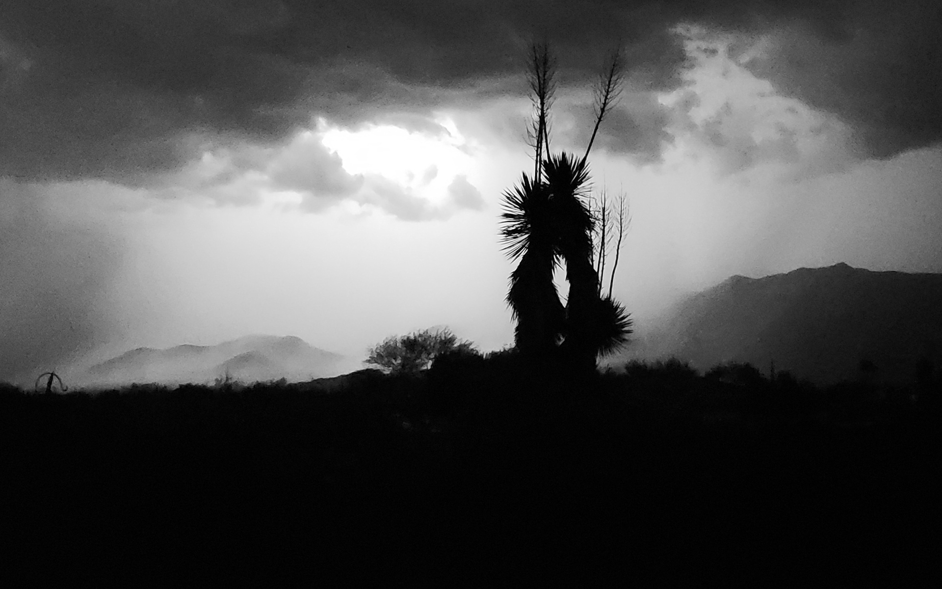 Stephen Gerteisen, 2025. Oro Valley Monsoon, AZ