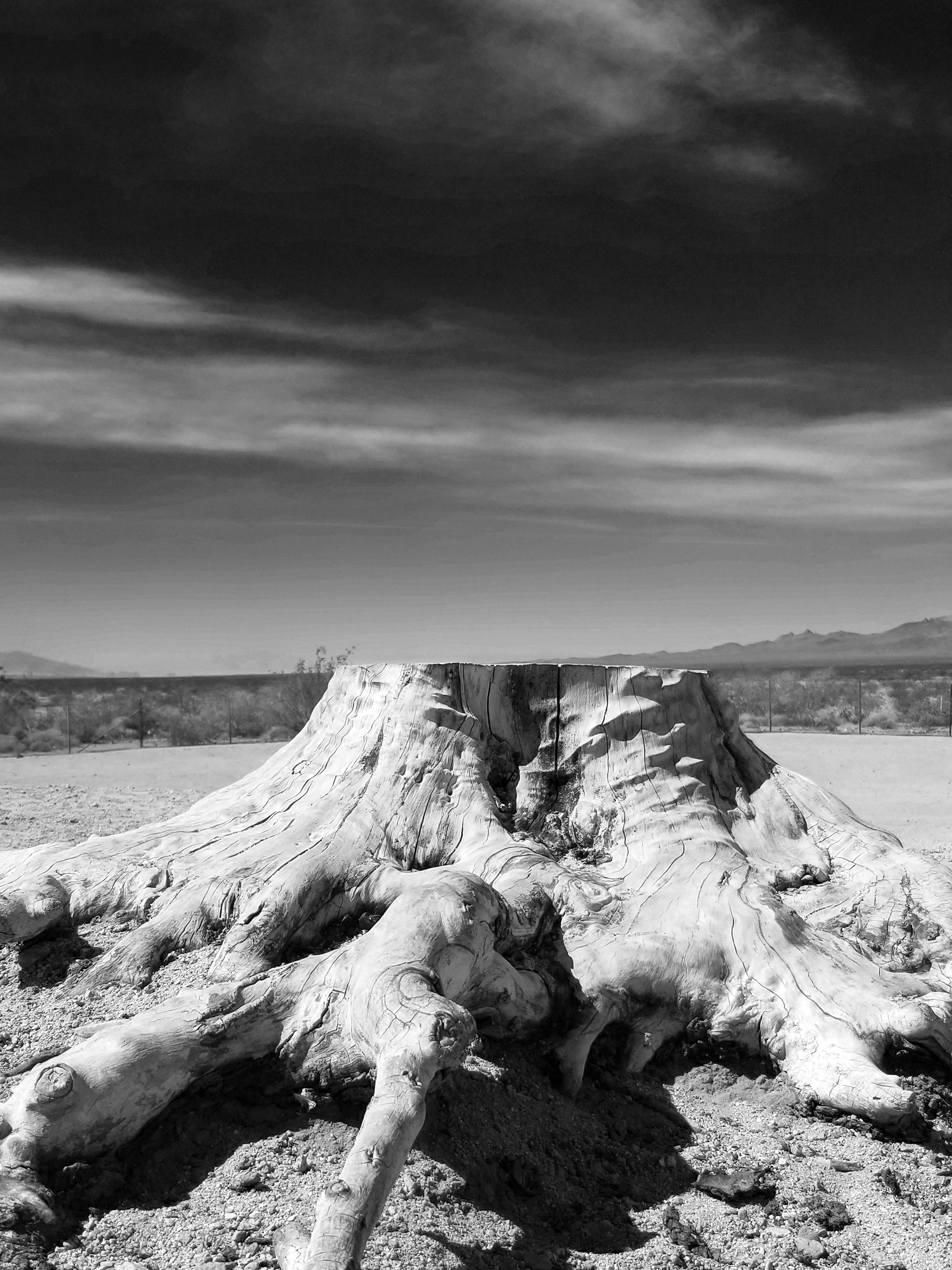 Stephen Gerteisen, 2023. Mohave Desert, CA