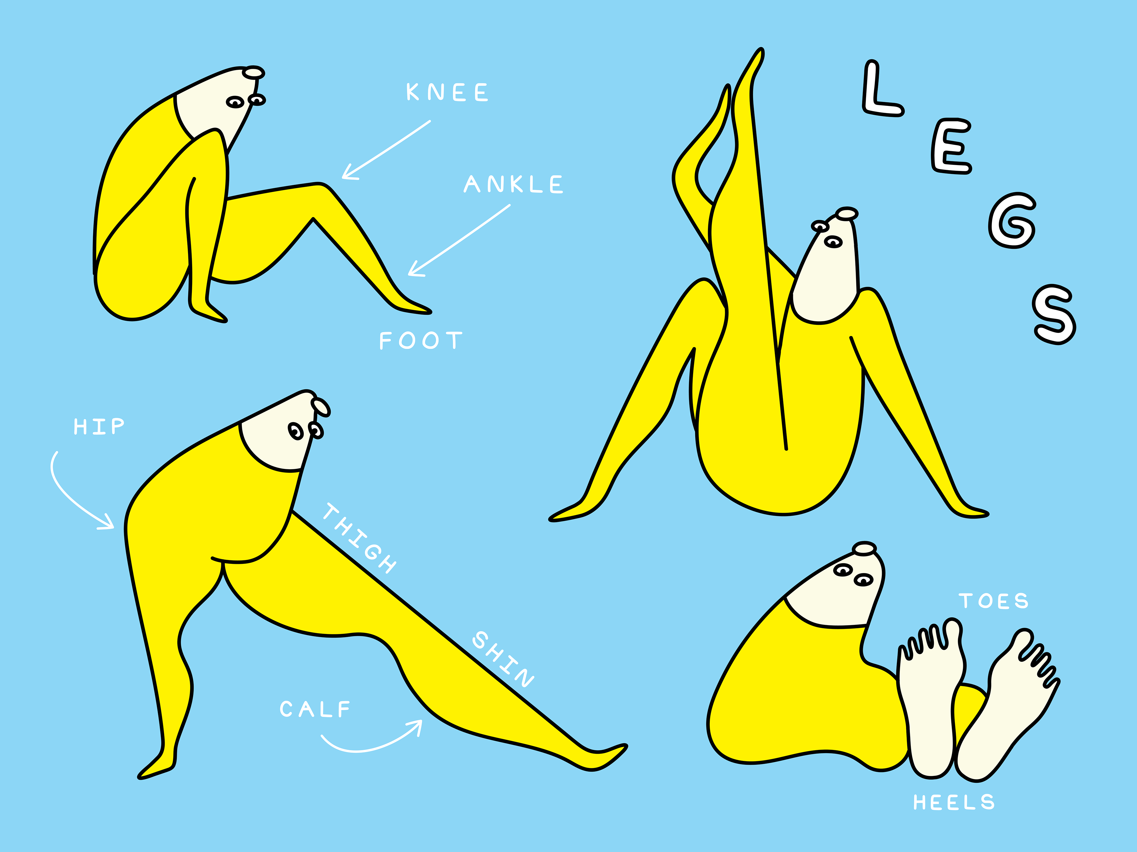 The Body of the Banana Fish, 2024