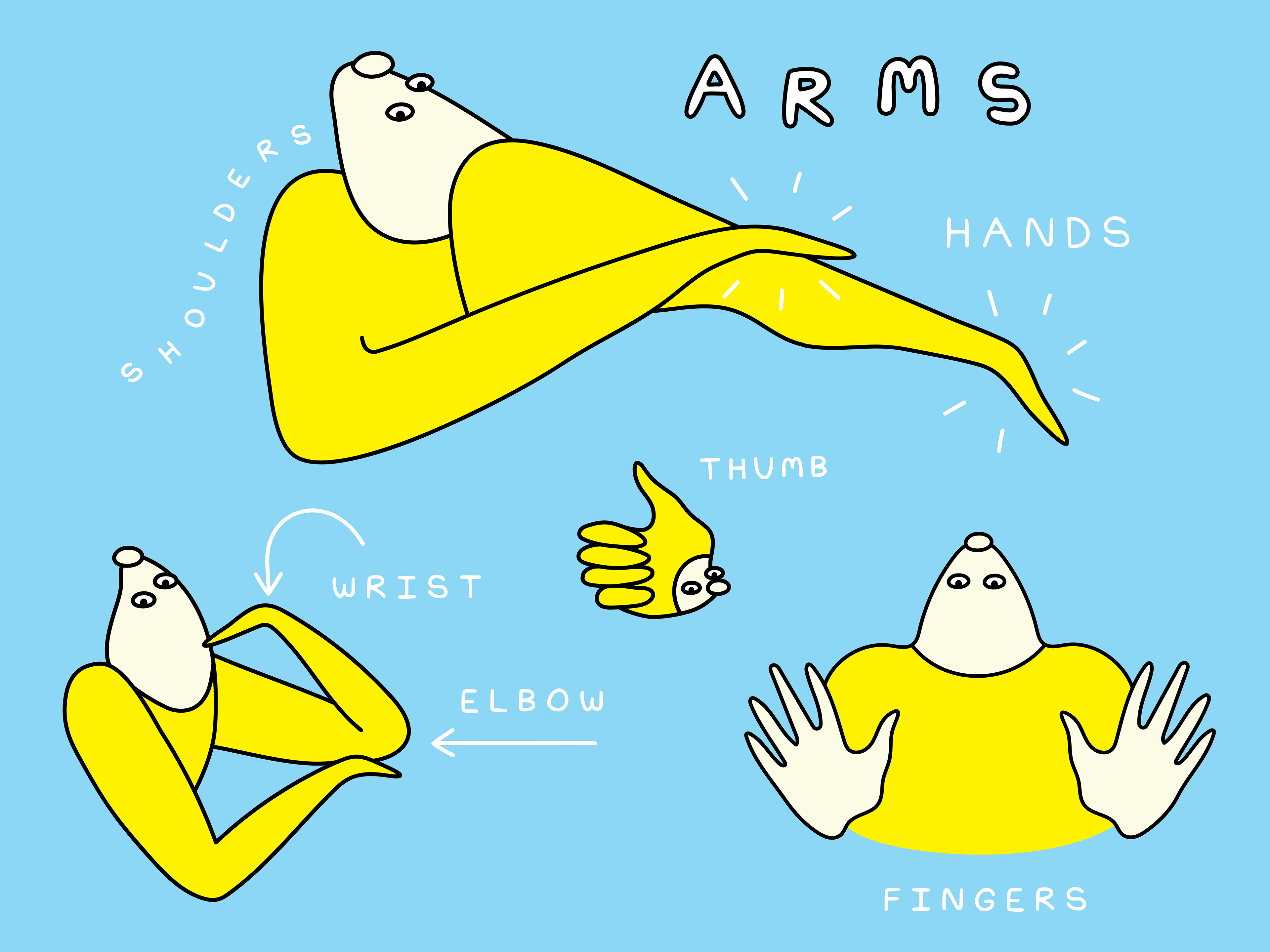 The Body of the Banana Fish, 2024