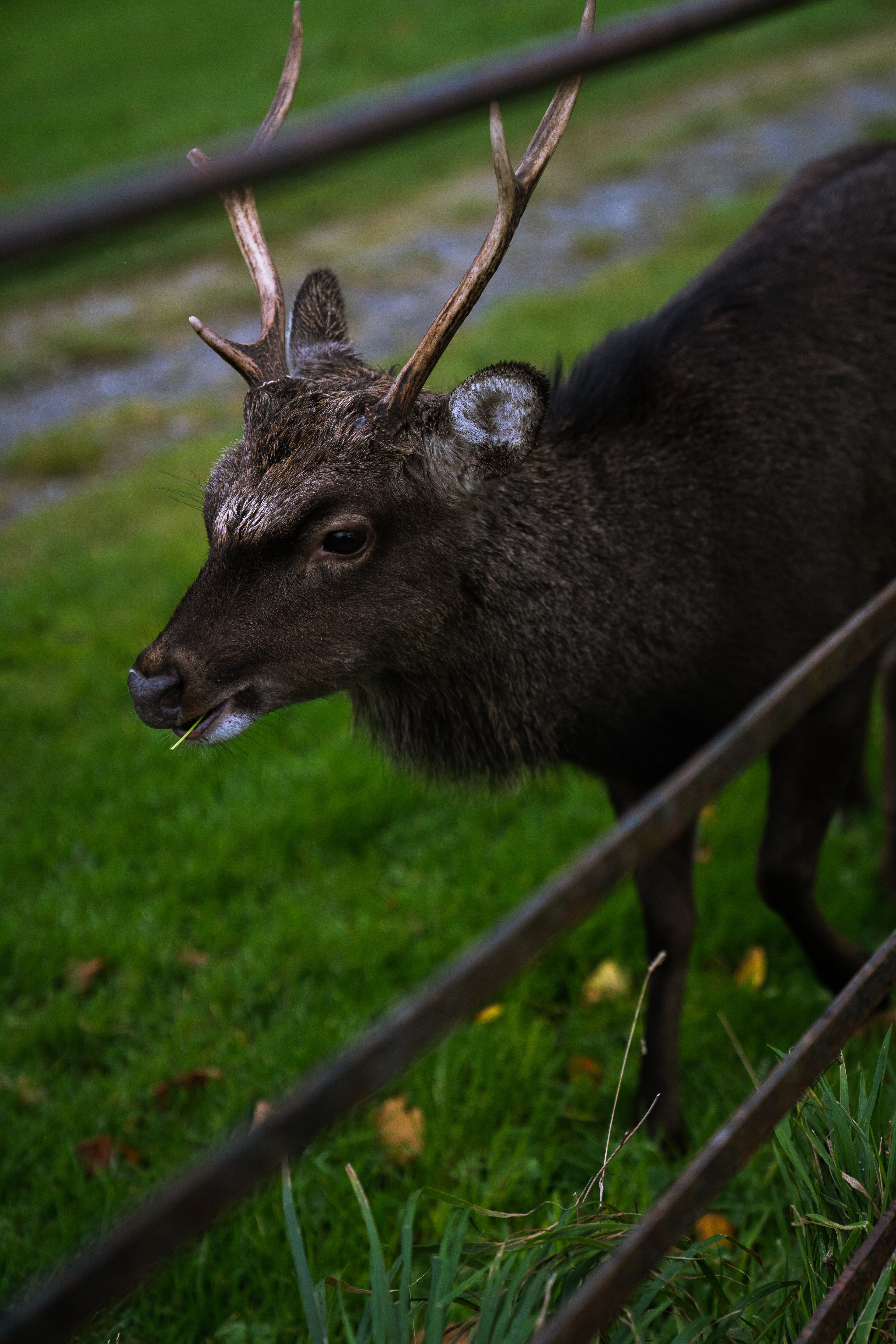 Killarney National Park, Killarney