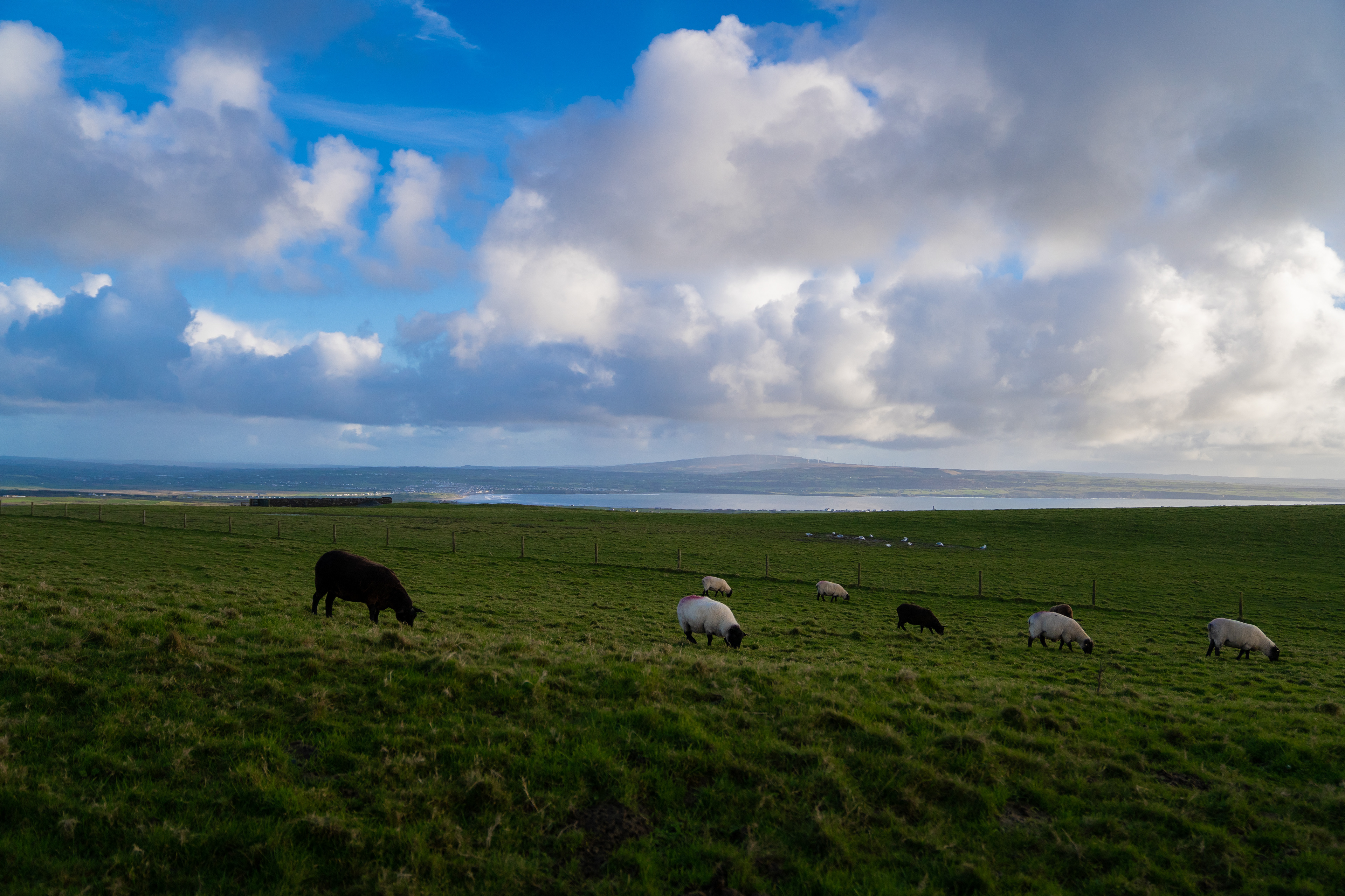 Cliffs of Moher, Galway