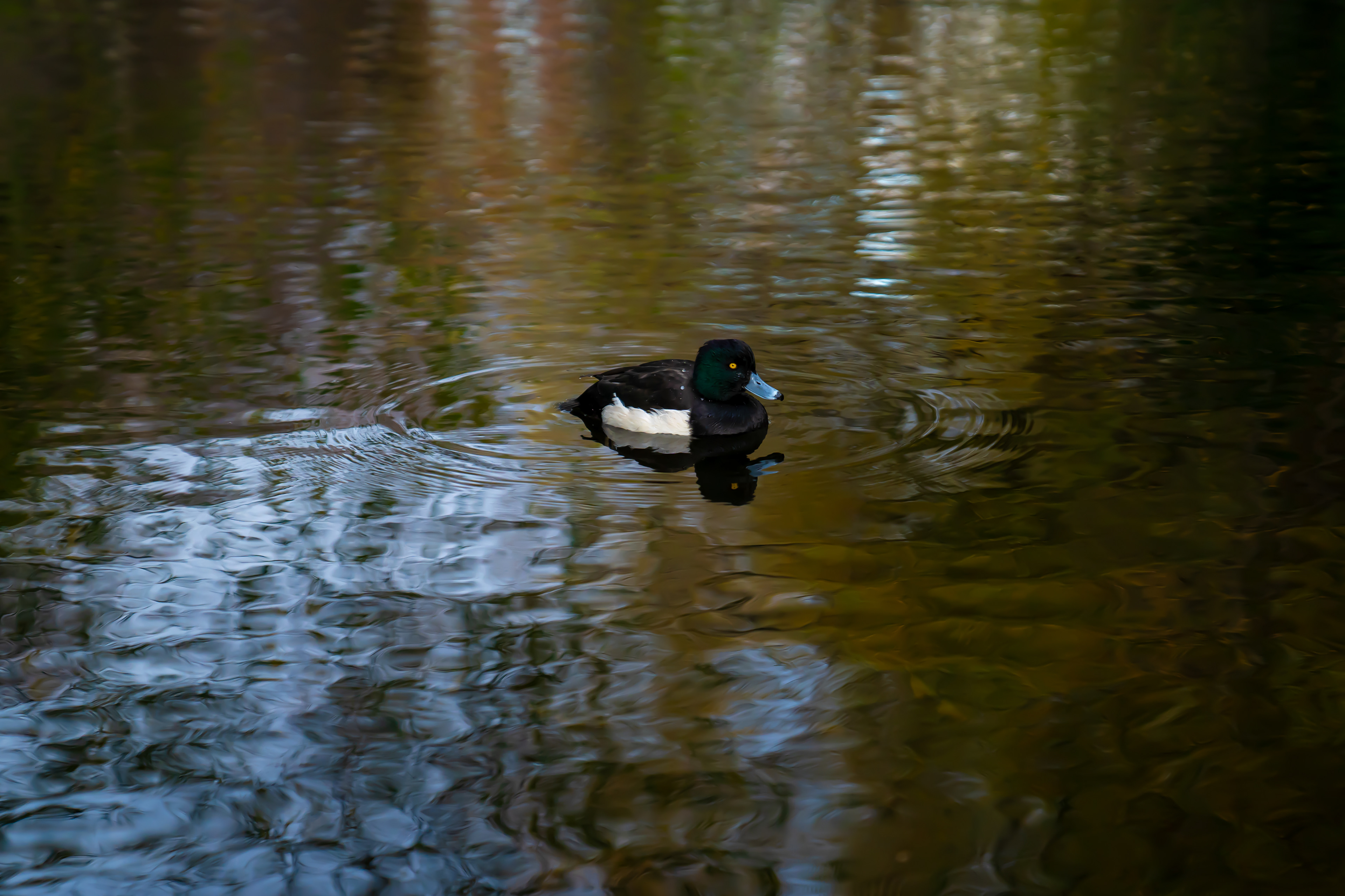St. Stephens Green, Dublin