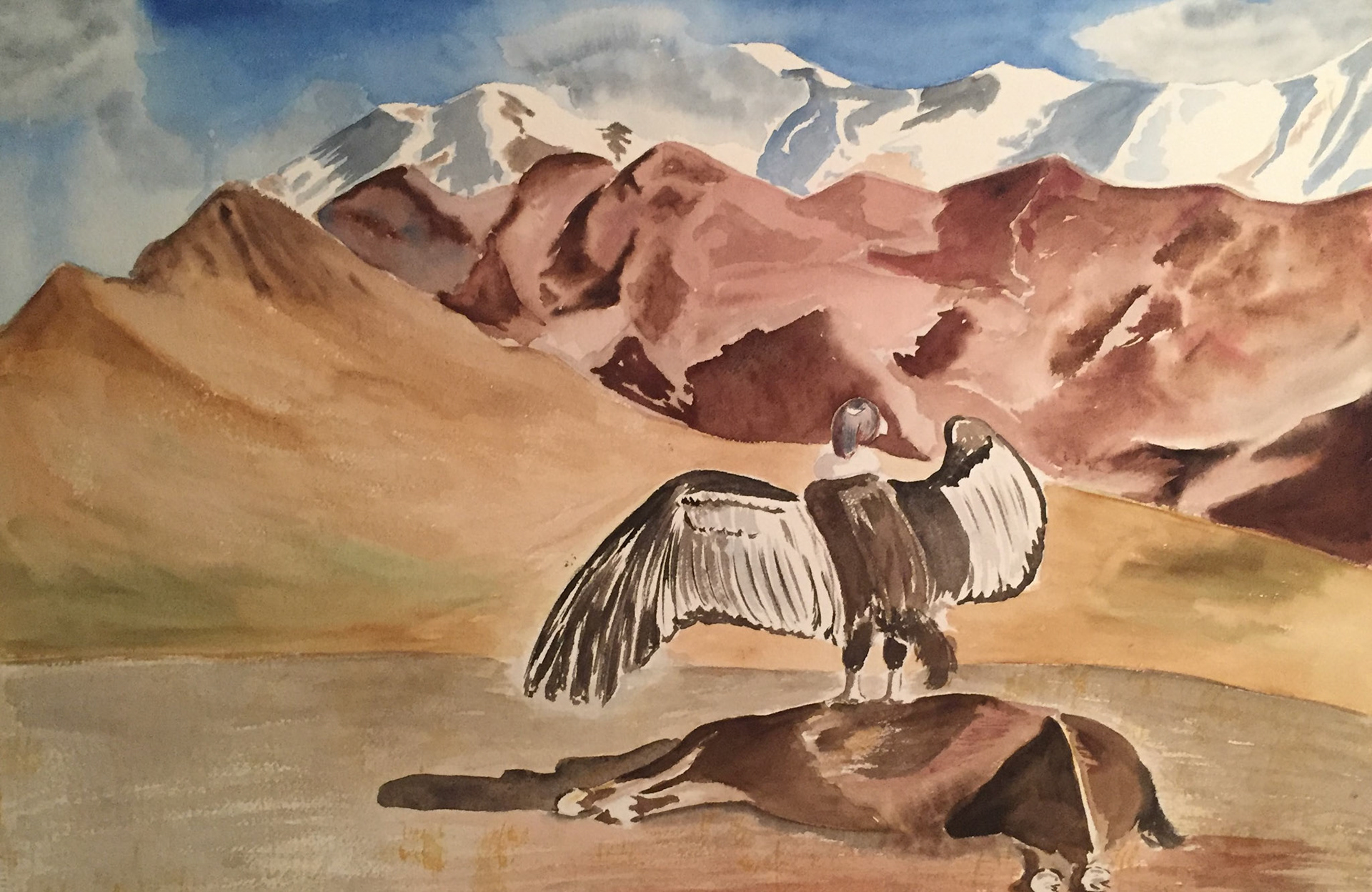 Condor