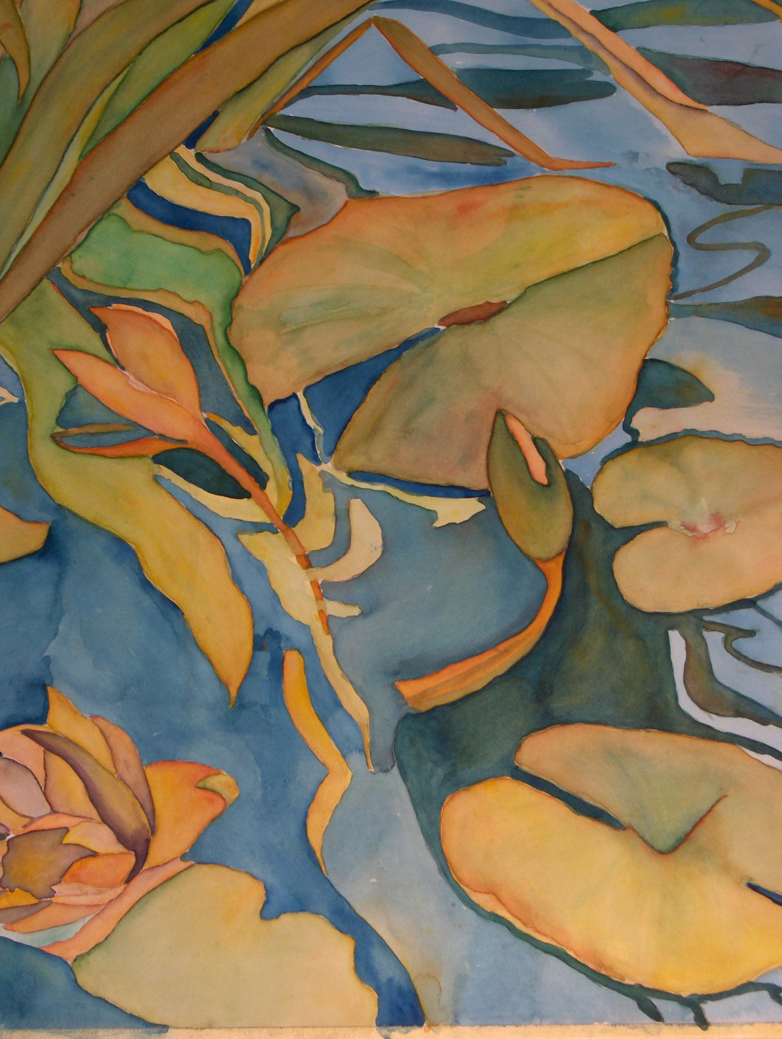 Lily Pond Reflections - Refleciónes Estanque de Lirios