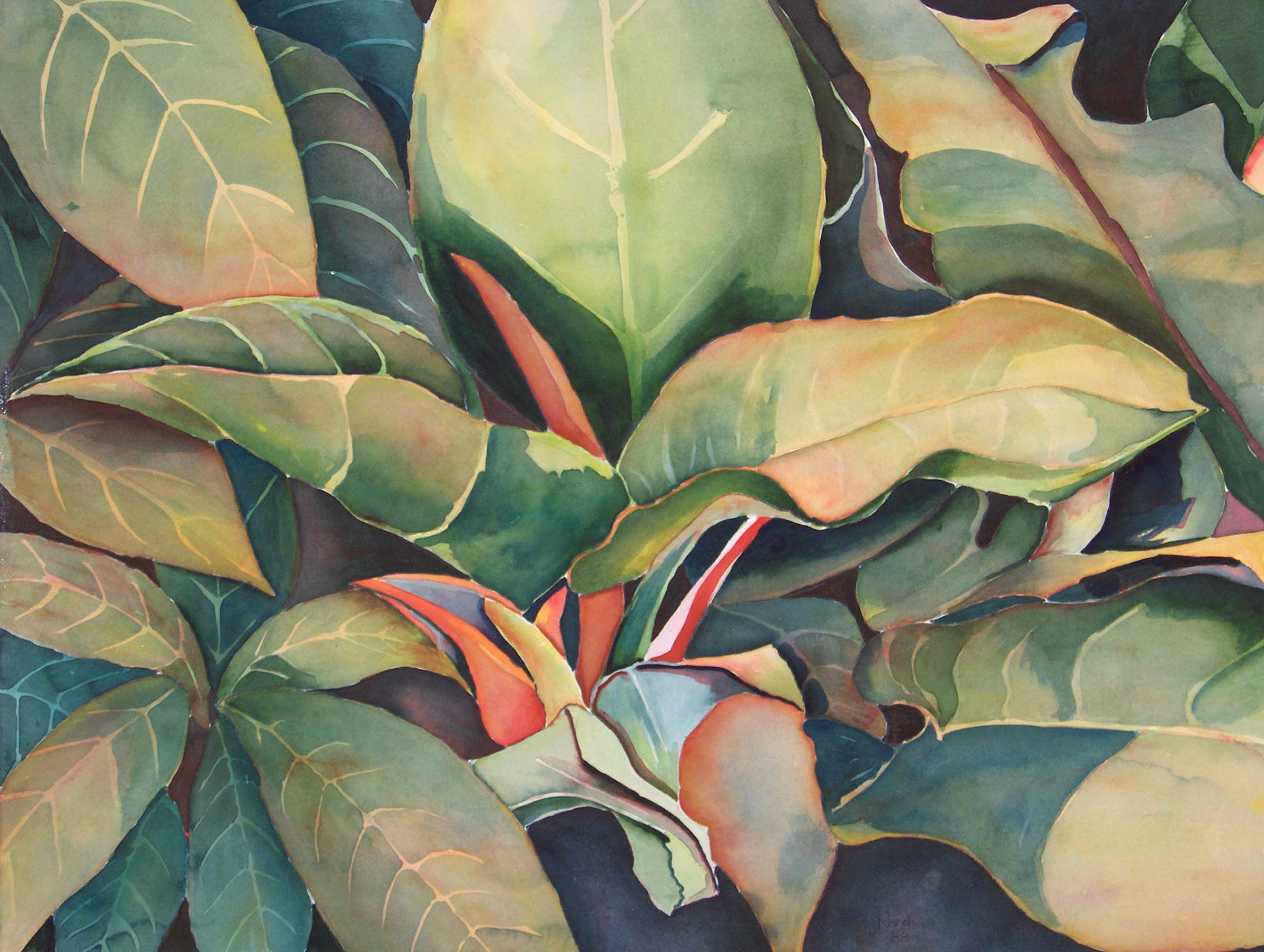 Tropical Plants - Plantas Tropicales