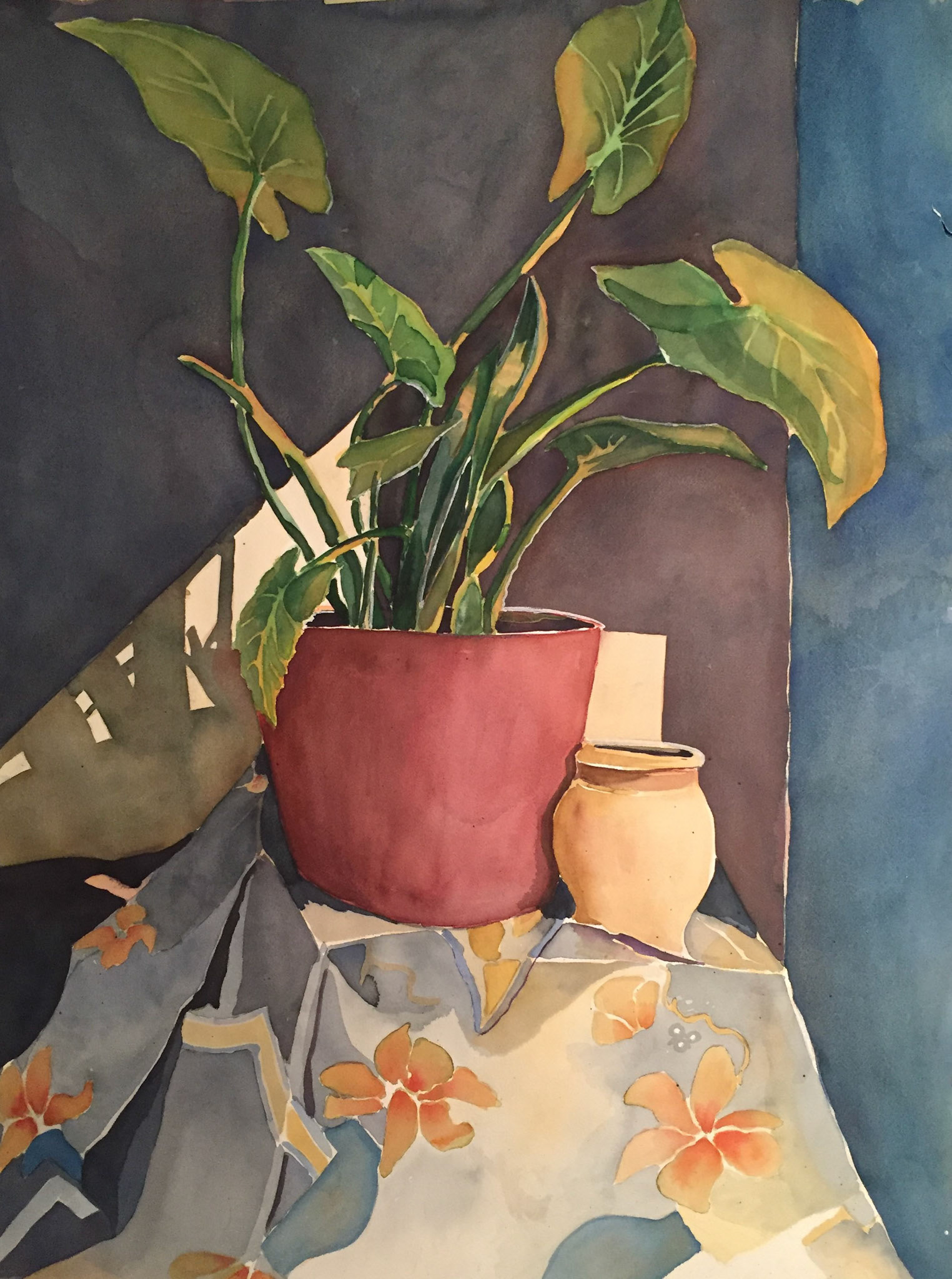 Plant and Fabric - Planta y Tela