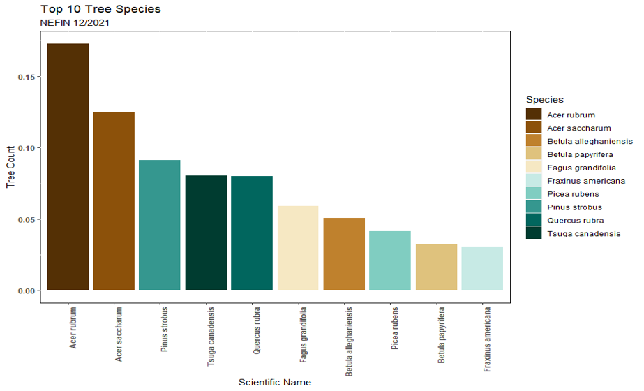 Top 10 tree species within data