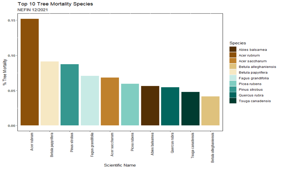 Top 10 tree species with mortality