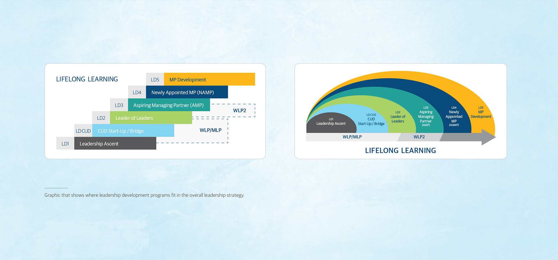 Lifelong Learning Infographic Concepts