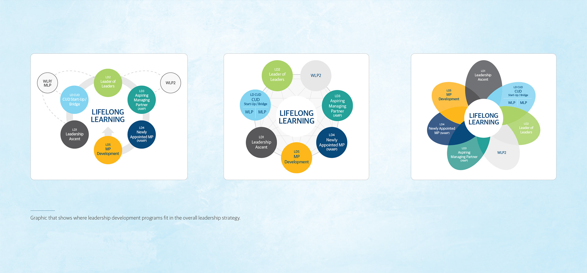 Lifelong Learning Infographic Concepts