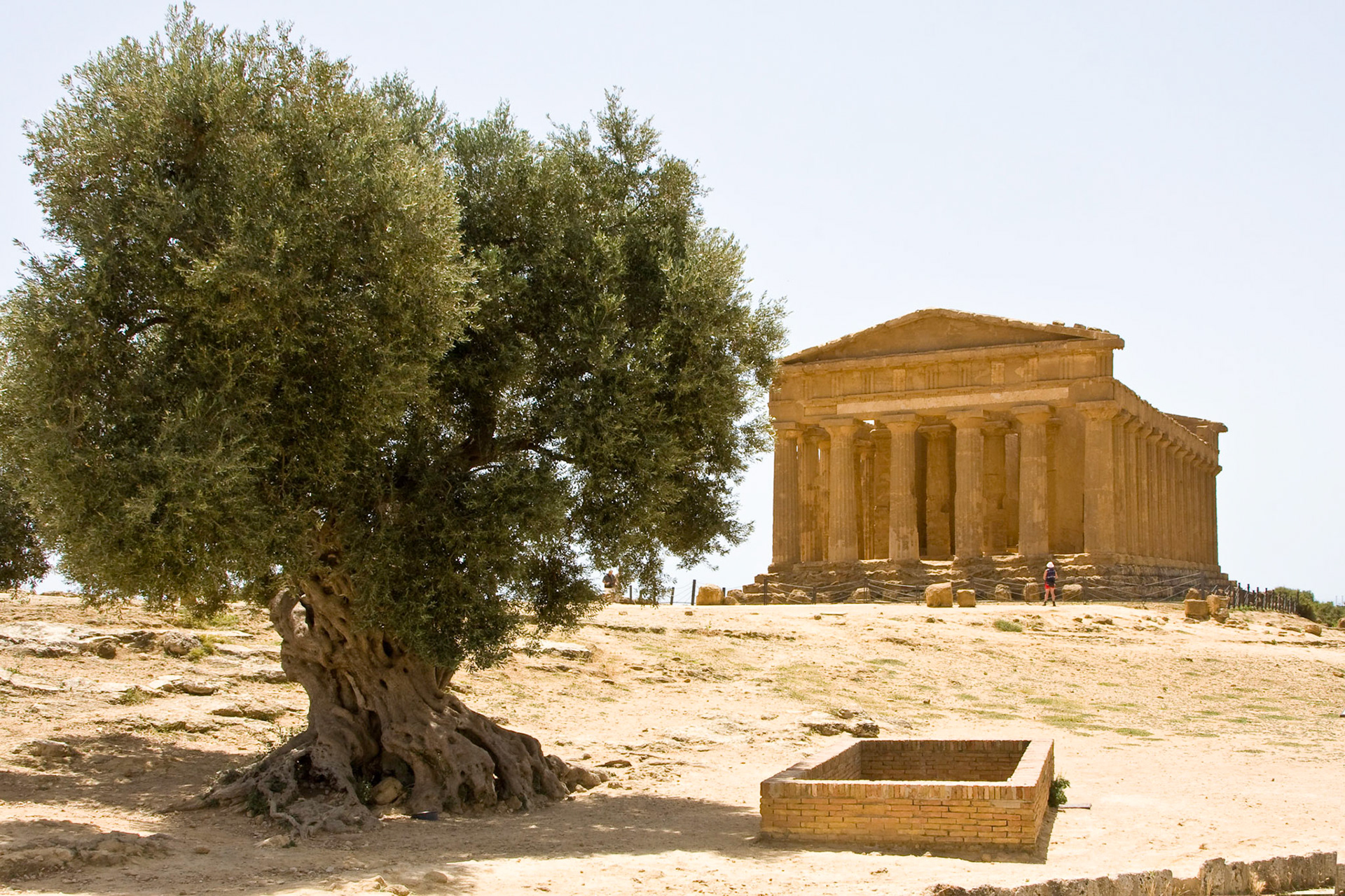 Temple of Concord Agrigento