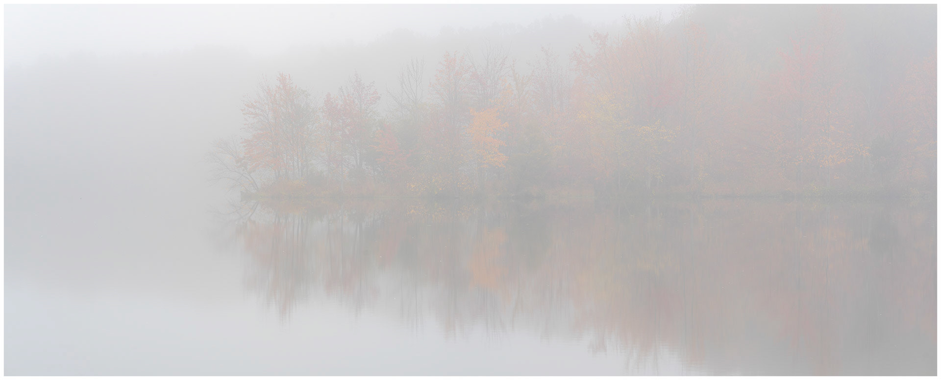 White Veil - Plainsboro, New Jersey