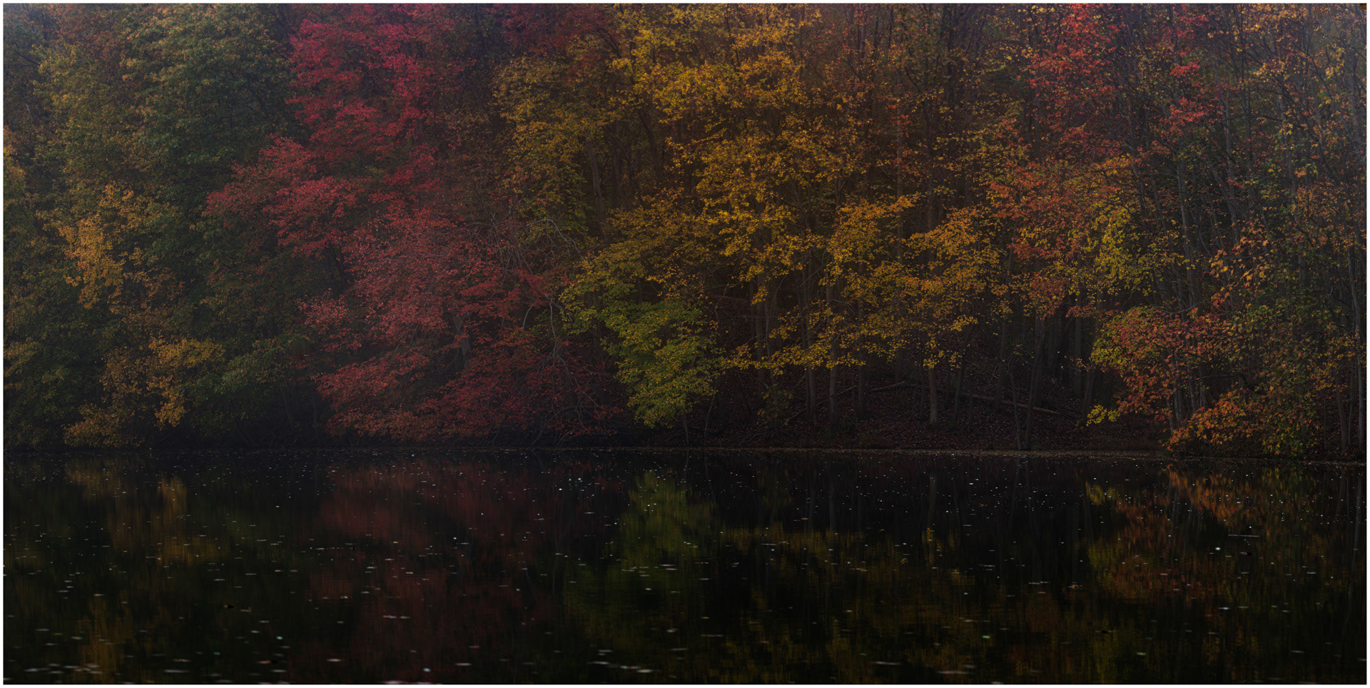 Silence - Plainsboro, New Jersey